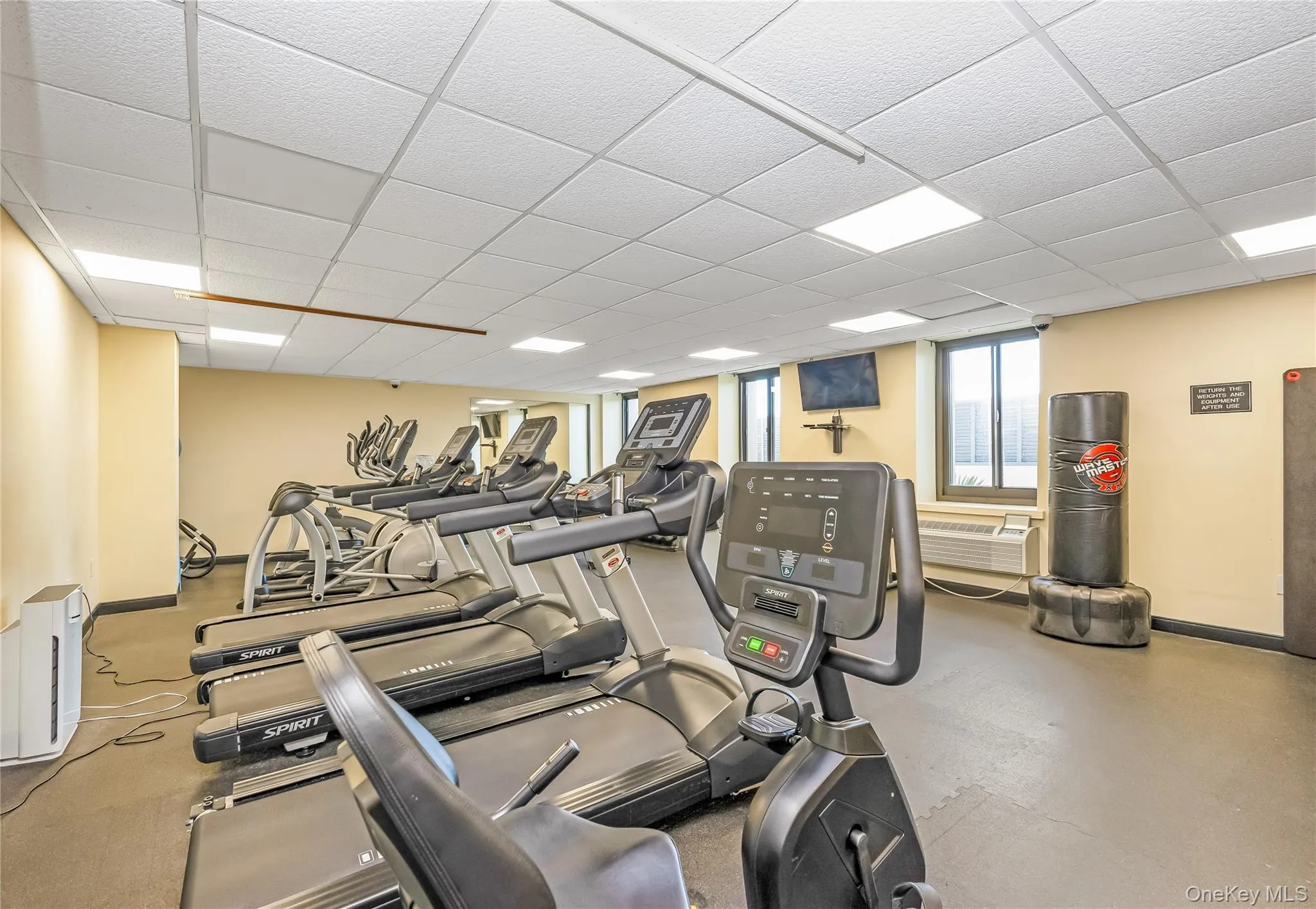 100 W Broadway, Long Beach, NY, 1 Bedroom Bedrooms, 3 Rooms Rooms,1 BathroomBathrooms,Residential Lease,For Rent,W Broadway,0,1016894 100 W Broadway, Long Beach, NY, 1 Bedroom Bedrooms, 3 Rooms Rooms,1 BathroomBathrooms,Residential Lease,For Rent,W Broadway,0,1016894