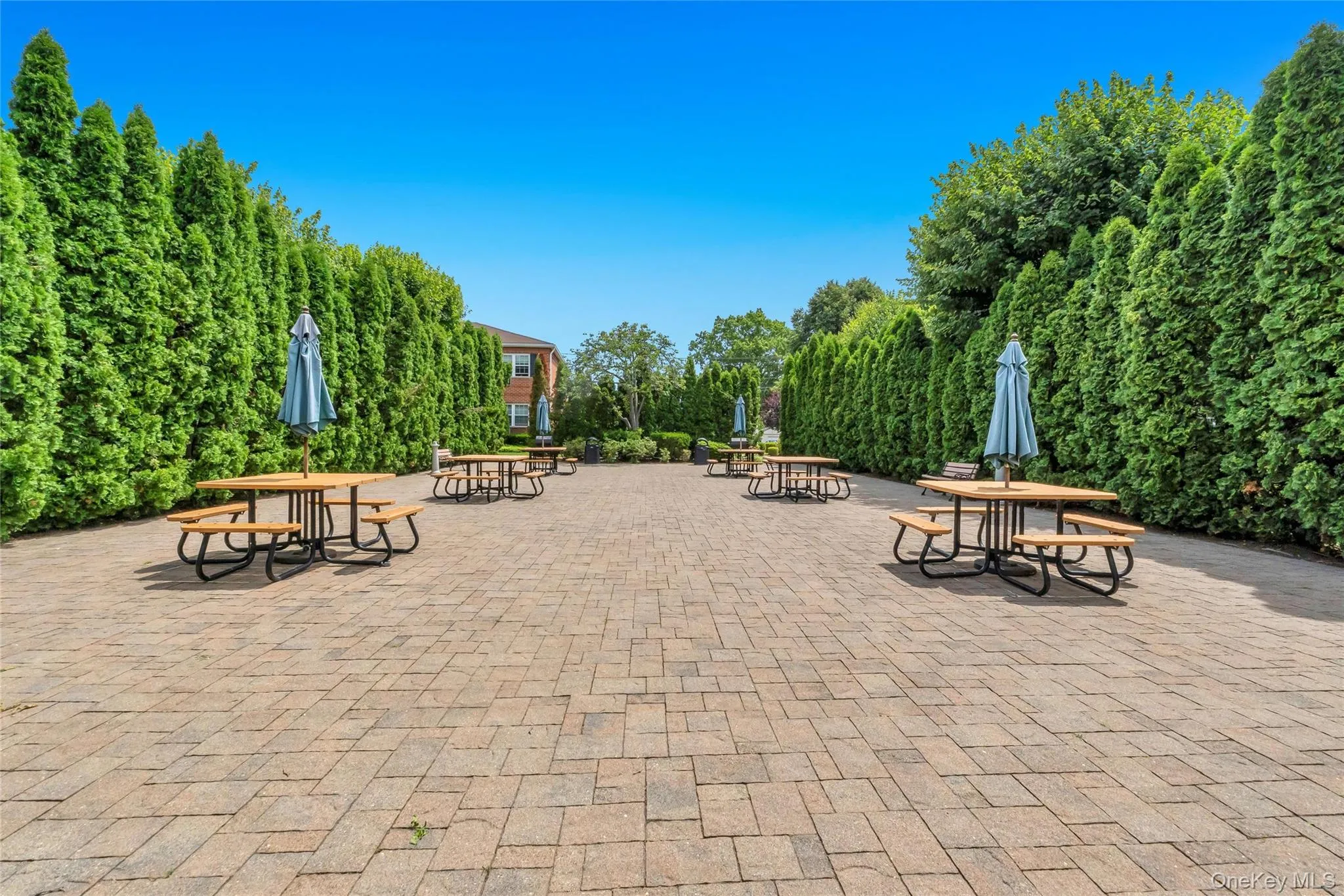 315 Hicksville Road, Oyster Bay, NY, 1 Bedroom Bedrooms, 4 Rooms Rooms,1 BathroomBathrooms,Residential,For Rent,Hicksville,0,1016907 315 Hicksville Road, Oyster Bay, NY, 1 Bedroom Bedrooms, 4 Rooms Rooms,1 BathroomBathrooms,Residential,For Rent,Hicksville,0,1016907