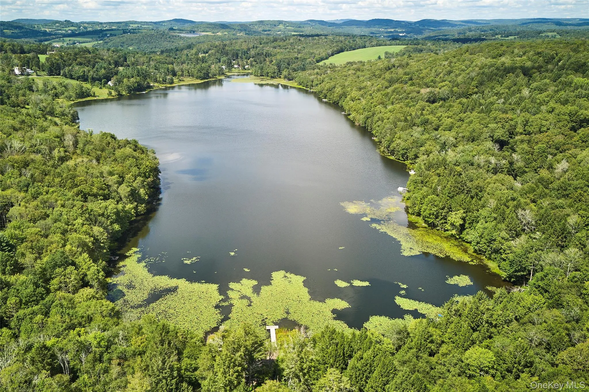 53 Land and Lakes Trail, Delaware, NY, 4 Bedrooms Bedrooms, 10 Rooms Rooms,3 BathroomsBathrooms,Residential,For Rent,Land and Lakes Trail,0,1016931 53 Land and Lakes Trail, Delaware, NY, 4 Bedrooms Bedrooms, 10 Rooms Rooms,3 BathroomsBathrooms,Residential,For Rent,Land and Lakes Trail,0,1016931