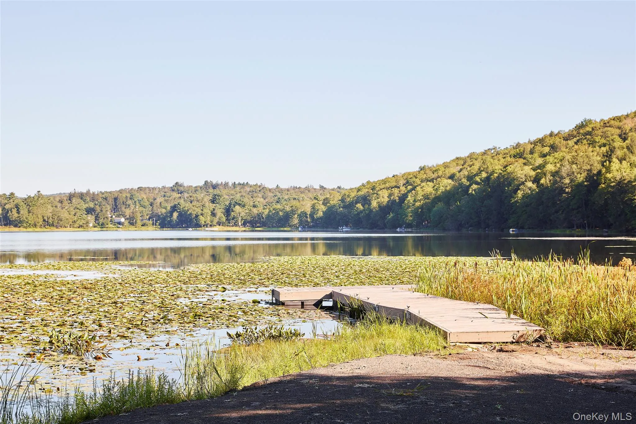 53 Land and Lakes Trail, Delaware, NY, 4 Bedrooms Bedrooms, 10 Rooms Rooms,3 BathroomsBathrooms,Residential,For Rent,Land and Lakes Trail,0,1016931 53 Land and Lakes Trail, Delaware, NY, 4 Bedrooms Bedrooms, 10 Rooms Rooms,3 BathroomsBathrooms,Residential,For Rent,Land and Lakes Trail,0,1016931