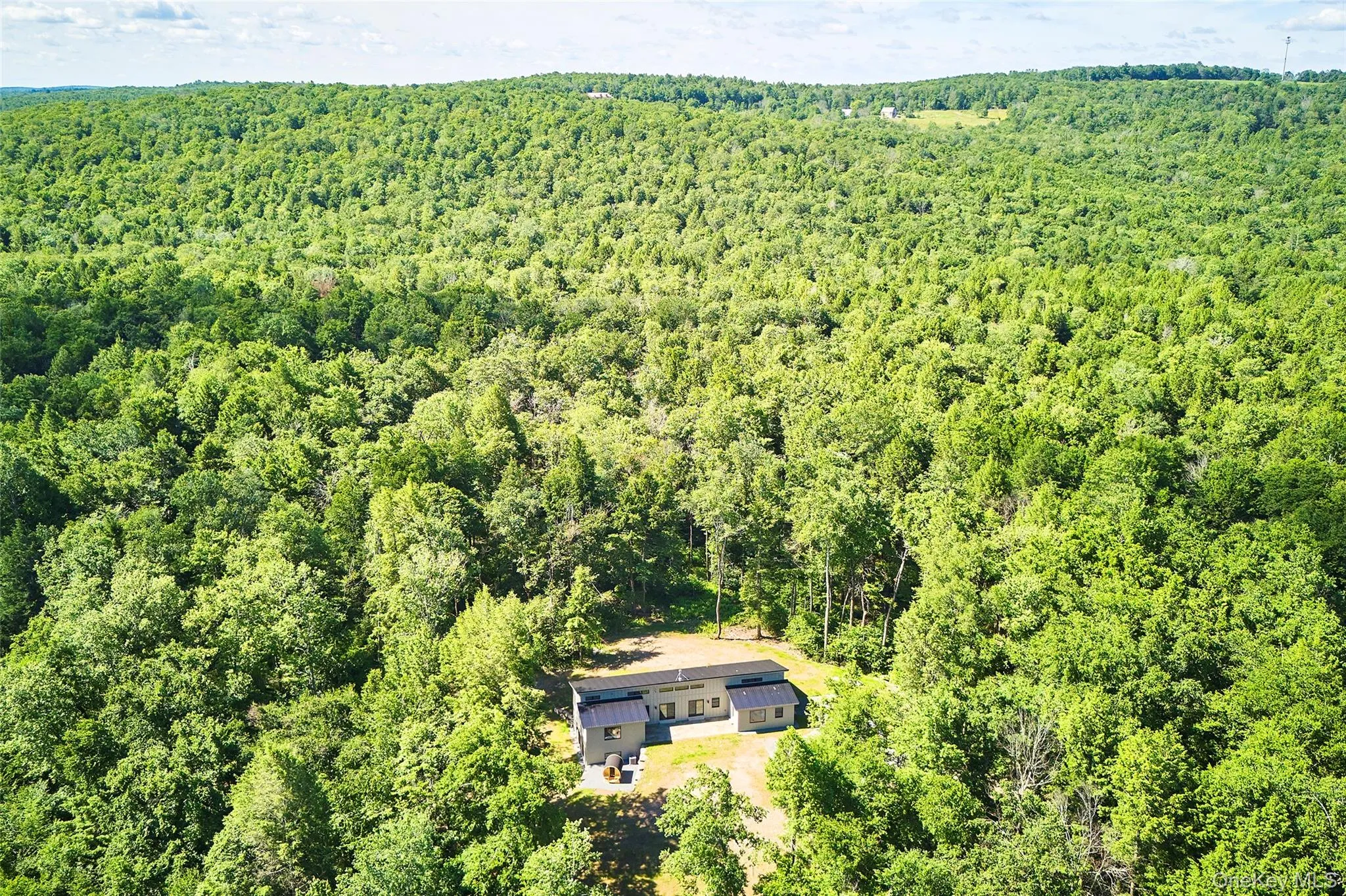 53 Land and Lakes Trail, Delaware, NY, 4 Bedrooms Bedrooms, 10 Rooms Rooms,3 BathroomsBathrooms,Residential,For Rent,Land and Lakes Trail,0,1016931 53 Land and Lakes Trail, Delaware, NY, 4 Bedrooms Bedrooms, 10 Rooms Rooms,3 BathroomsBathrooms,Residential,For Rent,Land and Lakes Trail,0,1016931