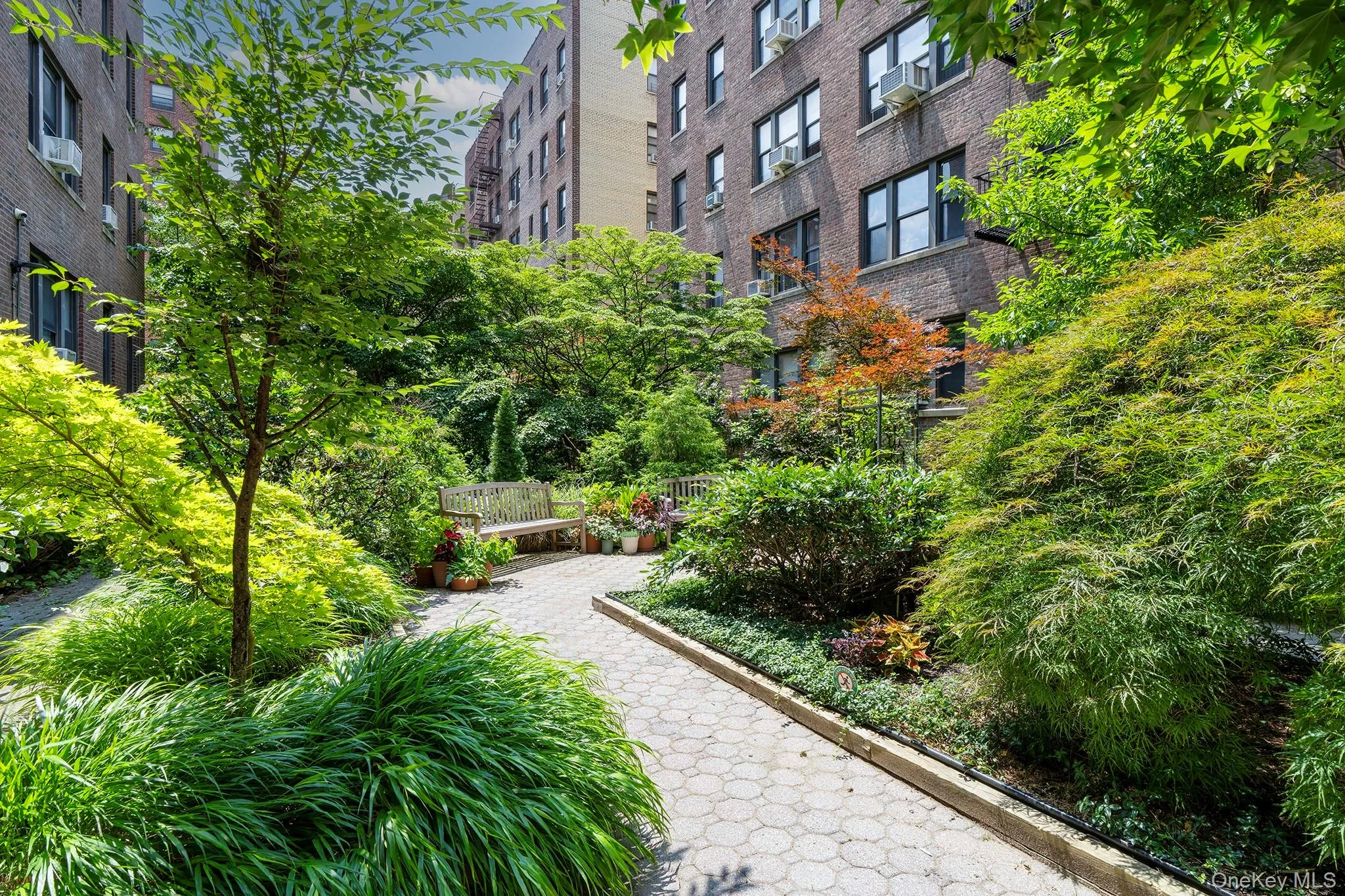35-16 85th Street, New York, NY, 1 Bedroom Bedrooms, 3 Rooms Rooms,1 BathroomBathrooms,Residential,For Rent,85th,0,1016944 35-16 85th Street, New York, NY, 1 Bedroom Bedrooms, 3 Rooms Rooms,1 BathroomBathrooms,Residential,For Rent,85th,0,1016944