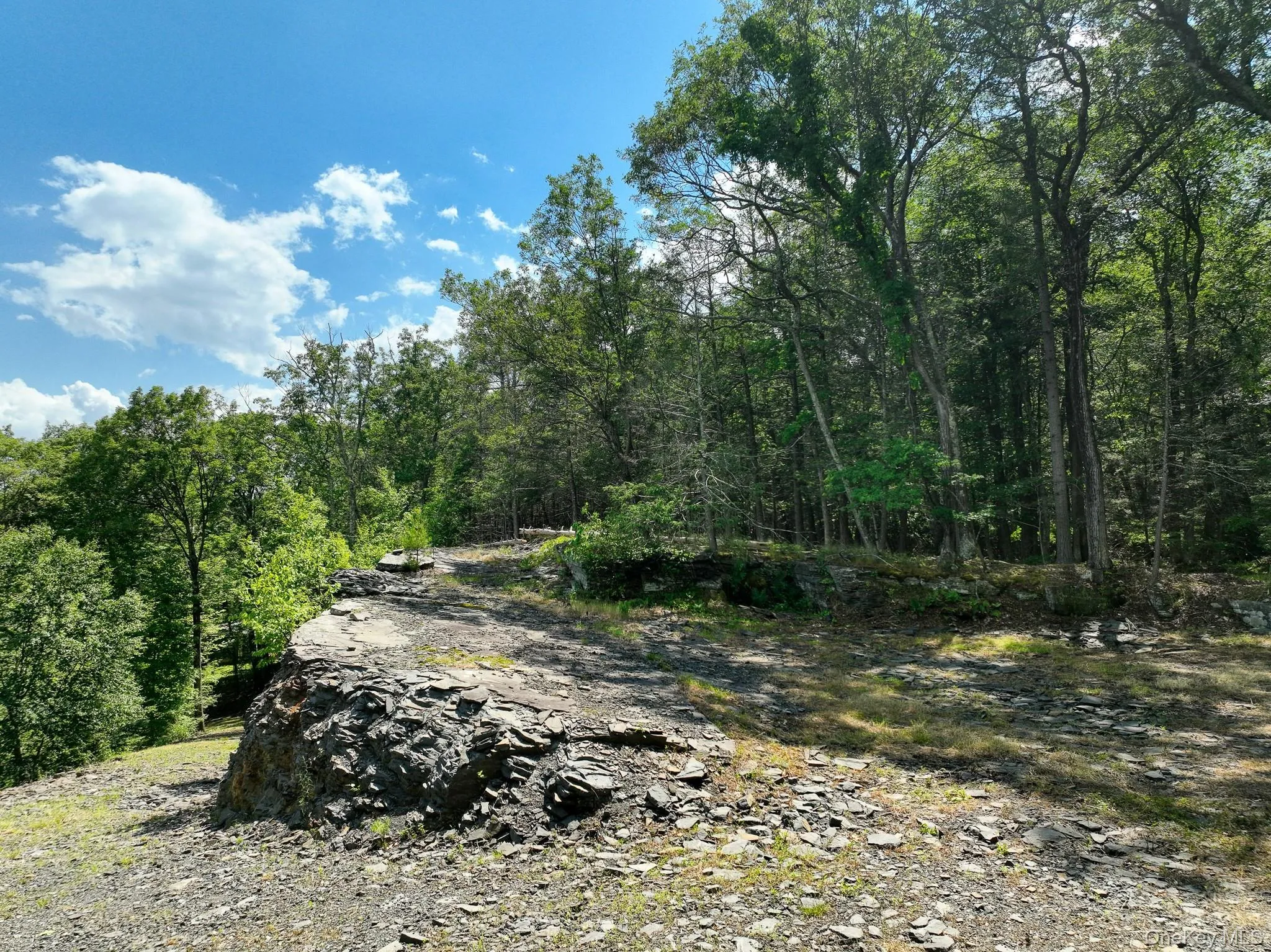 400 Stoll Road, Saugerties, NY, ,Land,For Rent,Stoll,0,1016949 400 Stoll Road, Saugerties, NY, ,Land,For Rent,Stoll,0,1016949