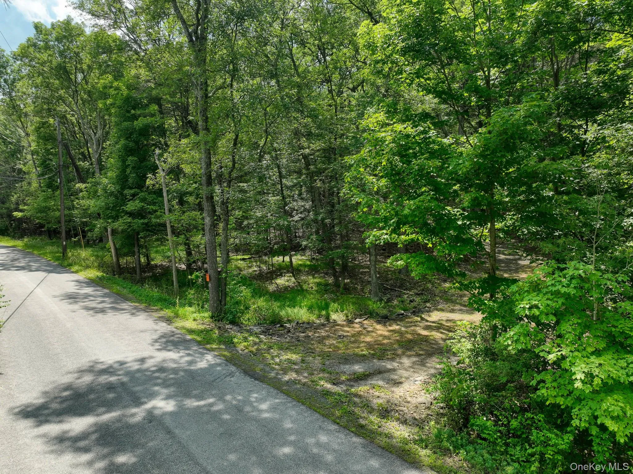 400 Stoll Road, Saugerties, NY, ,Land,For Rent,Stoll,0,1016949 400 Stoll Road, Saugerties, NY, ,Land,For Rent,Stoll,0,1016949