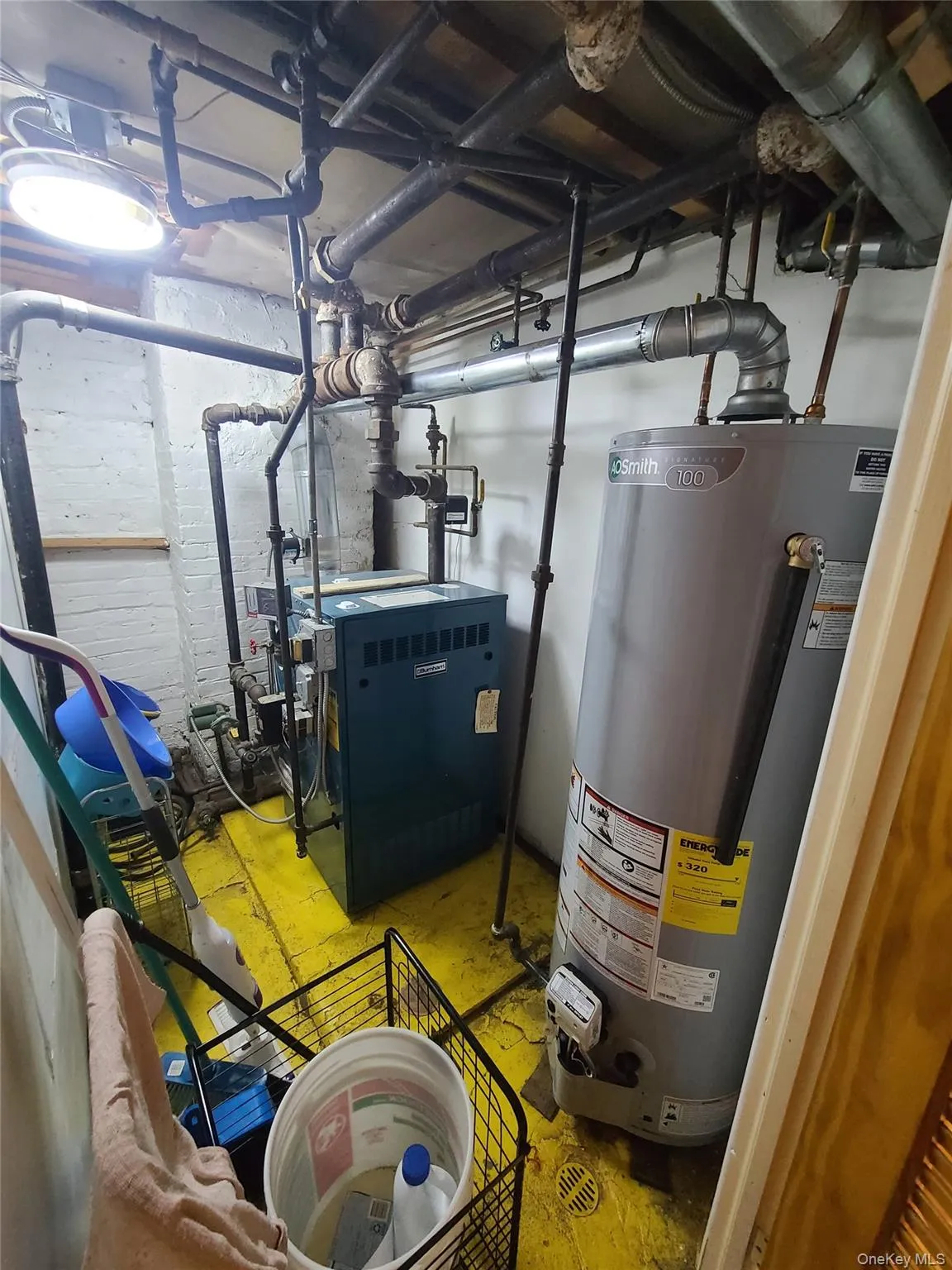1936 5th Street, New York, NY, 4 Bedrooms Bedrooms, 12 Rooms Rooms,3 BathroomsBathrooms,Residential,For Rent,5th,0,1016954 1936 5th Street, New York, NY, 4 Bedrooms Bedrooms, 12 Rooms Rooms,3 BathroomsBathrooms,Residential,For Rent,5th,0,1016954