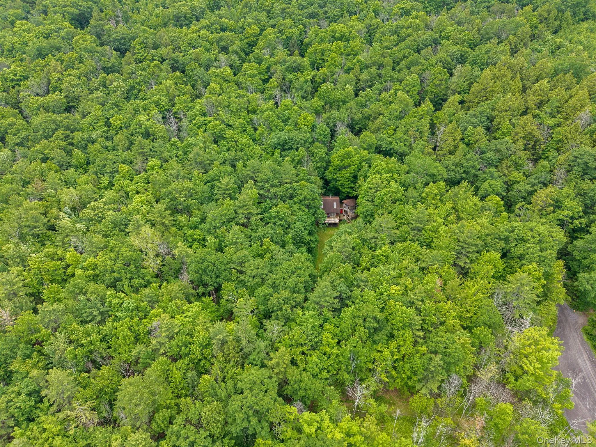 468 Treadlemire Rd, Out Of Area, NY, 2 Bedrooms Bedrooms, 6 Rooms Rooms,1 BathroomBathrooms,Residential,For Rent,Treadlemire Rd,0,1016972 468 Treadlemire Rd, Out Of Area, NY, 2 Bedrooms Bedrooms, 6 Rooms Rooms,1 BathroomBathrooms,Residential,For Rent,Treadlemire Rd,0,1016972