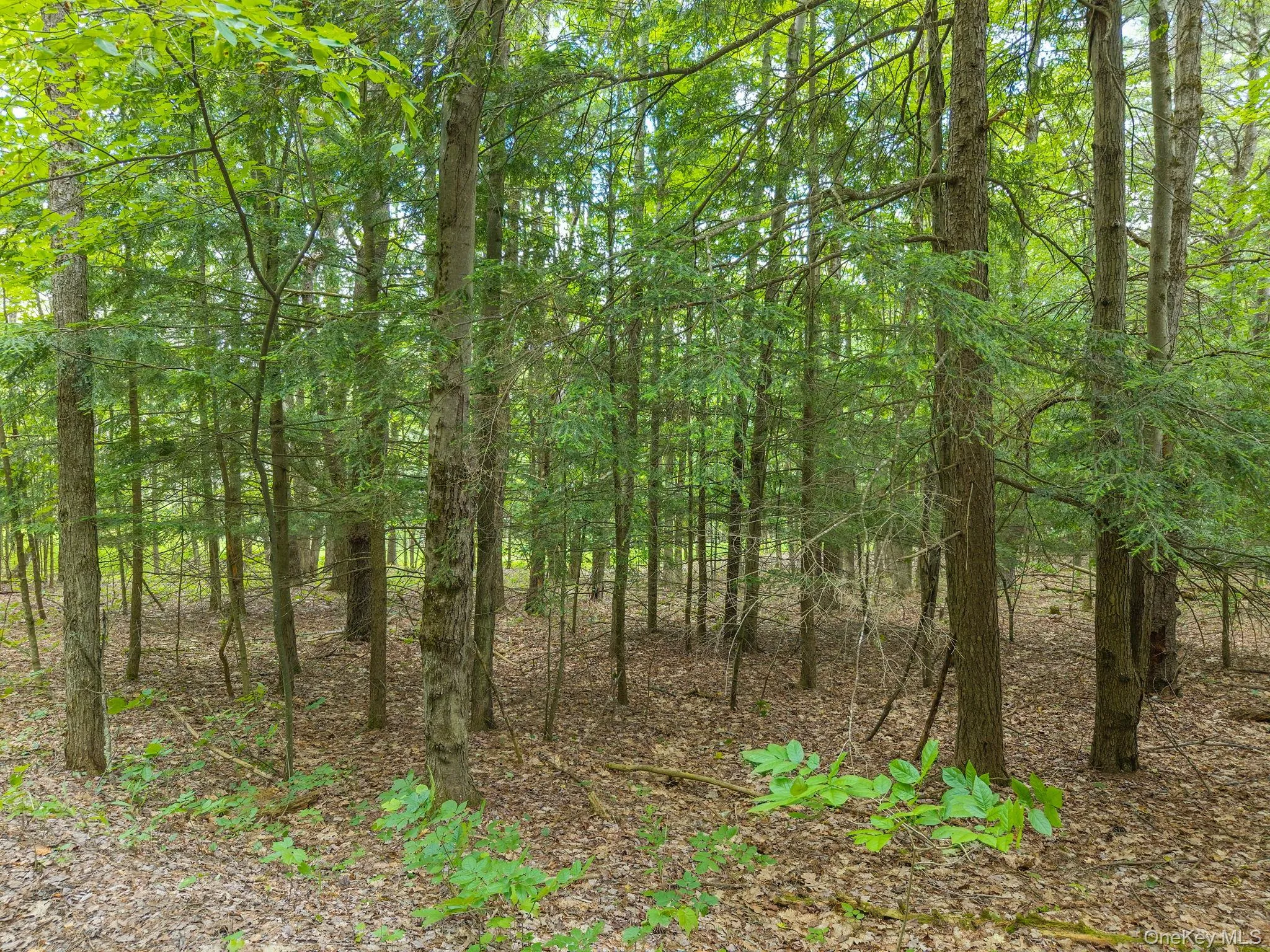 468 Treadlemire Rd, Out Of Area, NY, 2 Bedrooms Bedrooms, 6 Rooms Rooms,1 BathroomBathrooms,Residential,For Rent,Treadlemire Rd,0,1016972 468 Treadlemire Rd, Out Of Area, NY, 2 Bedrooms Bedrooms, 6 Rooms Rooms,1 BathroomBathrooms,Residential,For Rent,Treadlemire Rd,0,1016972