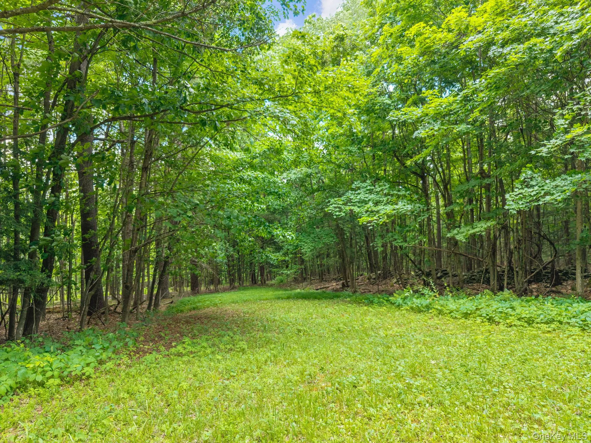468 Treadlemire Rd, Out Of Area, NY, 2 Bedrooms Bedrooms, 6 Rooms Rooms,1 BathroomBathrooms,Residential,For Rent,Treadlemire Rd,0,1016972 468 Treadlemire Rd, Out Of Area, NY, 2 Bedrooms Bedrooms, 6 Rooms Rooms,1 BathroomBathrooms,Residential,For Rent,Treadlemire Rd,0,1016972