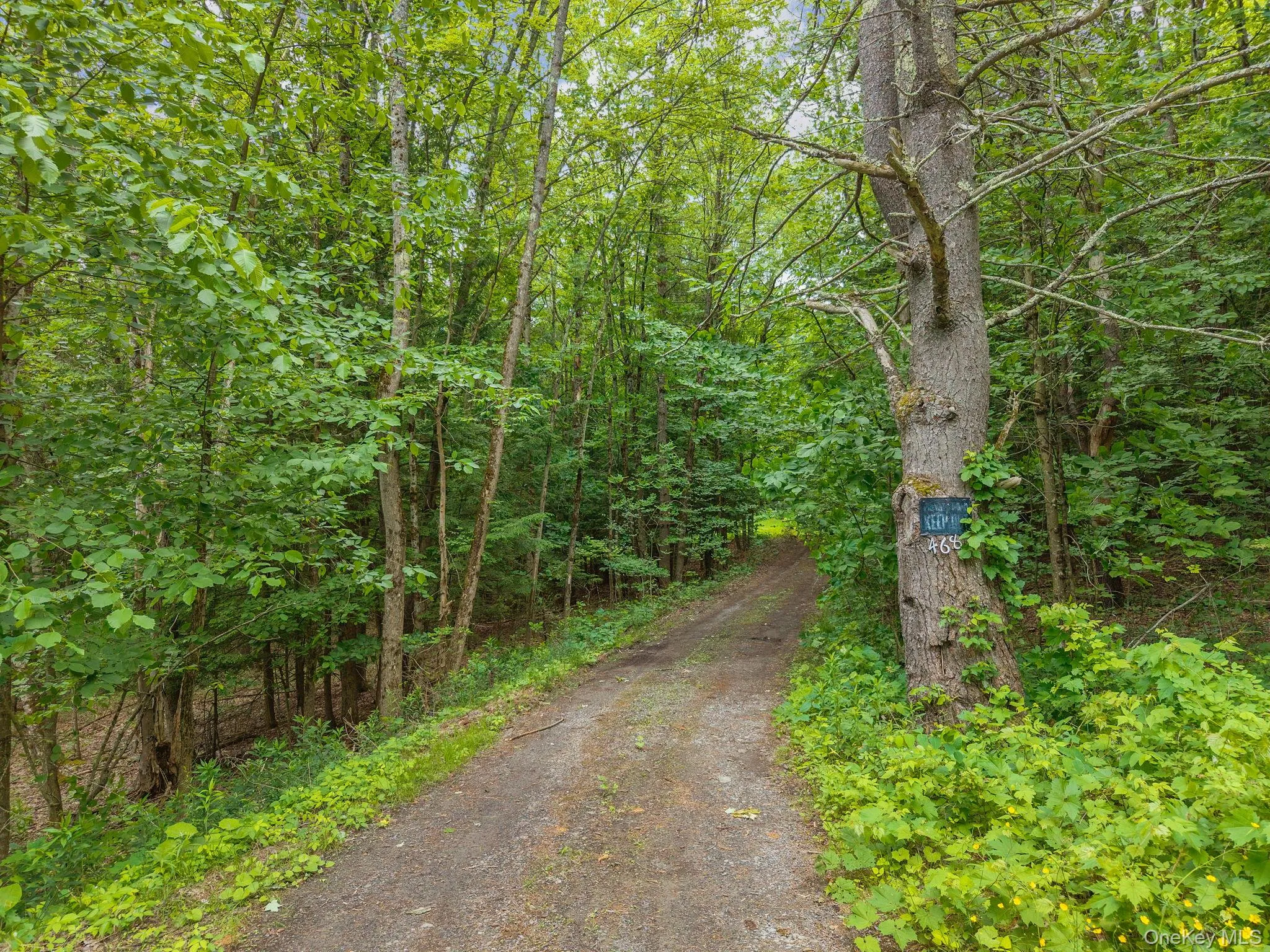 468 Treadlemire Rd, Out Of Area, NY, 2 Bedrooms Bedrooms, 6 Rooms Rooms,1 BathroomBathrooms,Residential,For Rent,Treadlemire Rd,0,1016972 468 Treadlemire Rd, Out Of Area, NY, 2 Bedrooms Bedrooms, 6 Rooms Rooms,1 BathroomBathrooms,Residential,For Rent,Treadlemire Rd,0,1016972