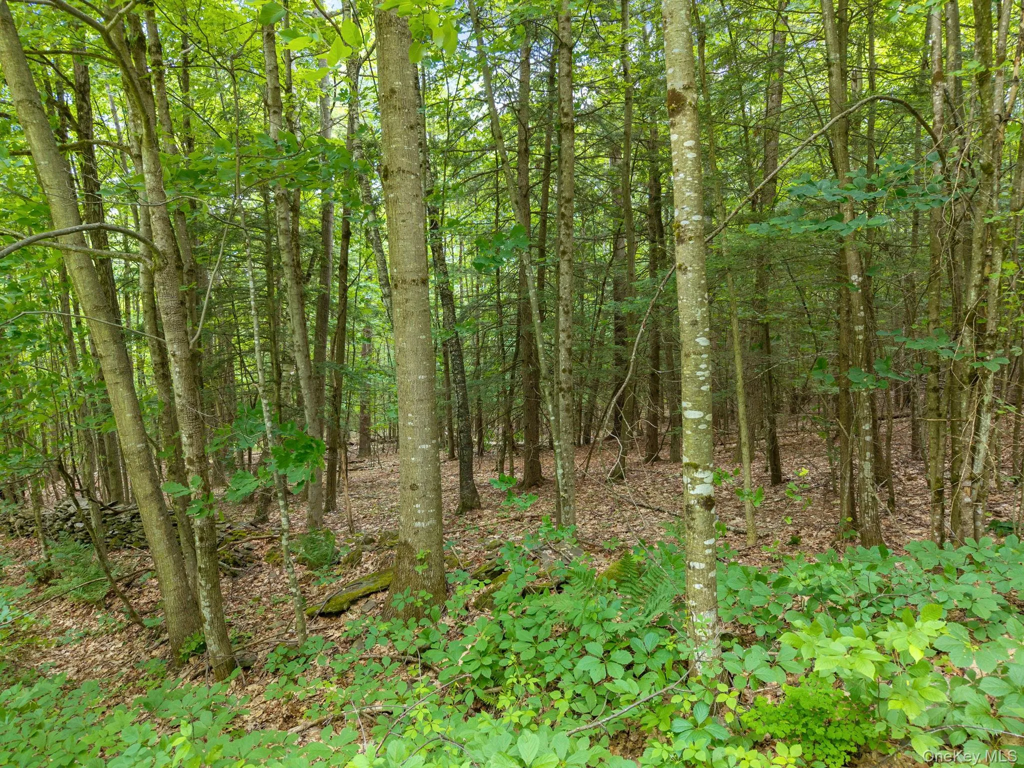 468 Treadlemire Rd, Out Of Area, NY, 2 Bedrooms Bedrooms, 6 Rooms Rooms,1 BathroomBathrooms,Residential,For Rent,Treadlemire Rd,0,1016972 468 Treadlemire Rd, Out Of Area, NY, 2 Bedrooms Bedrooms, 6 Rooms Rooms,1 BathroomBathrooms,Residential,For Rent,Treadlemire Rd,0,1016972