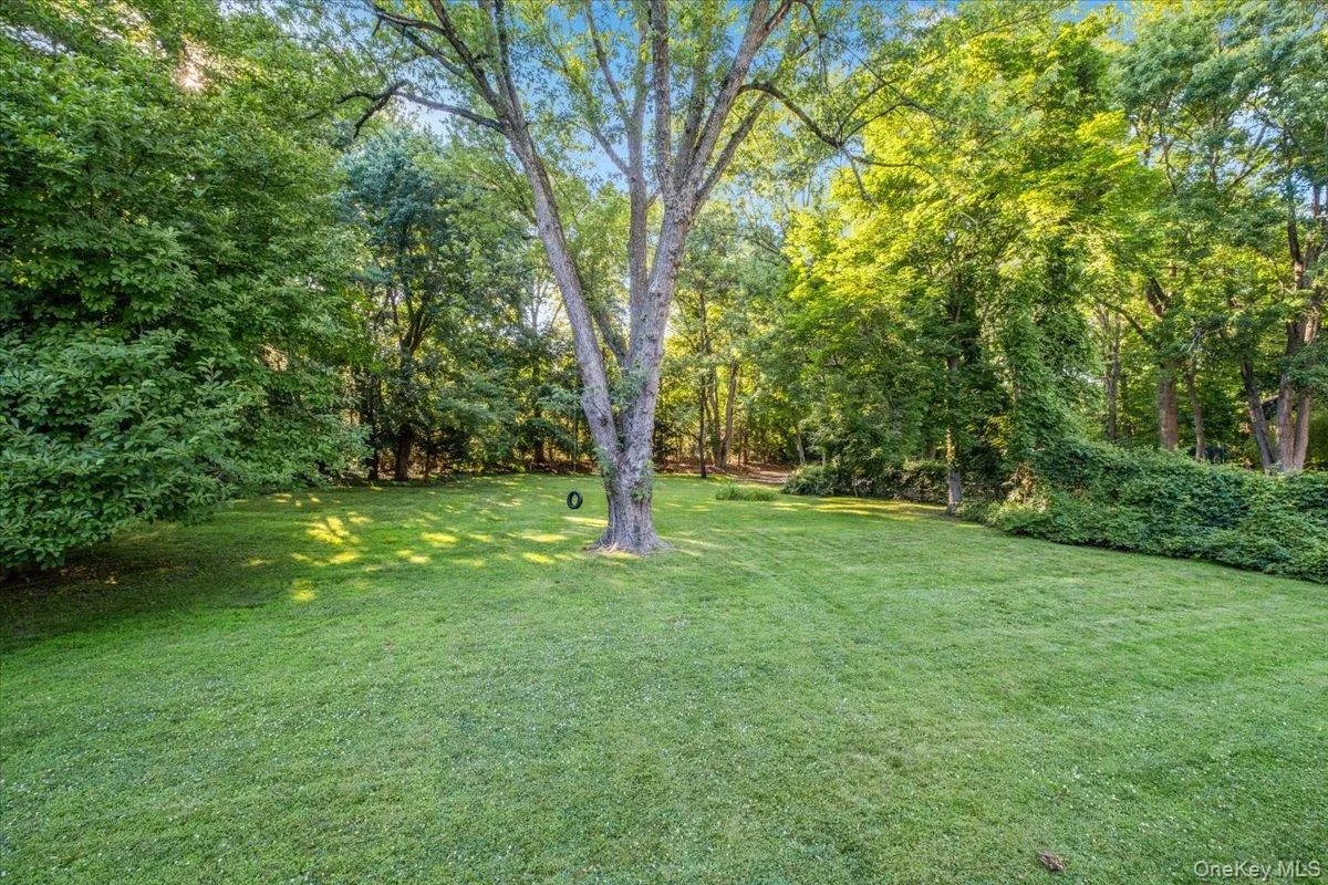 Picture perfect tree complete with swing. Picture perfect tree complete with swing.