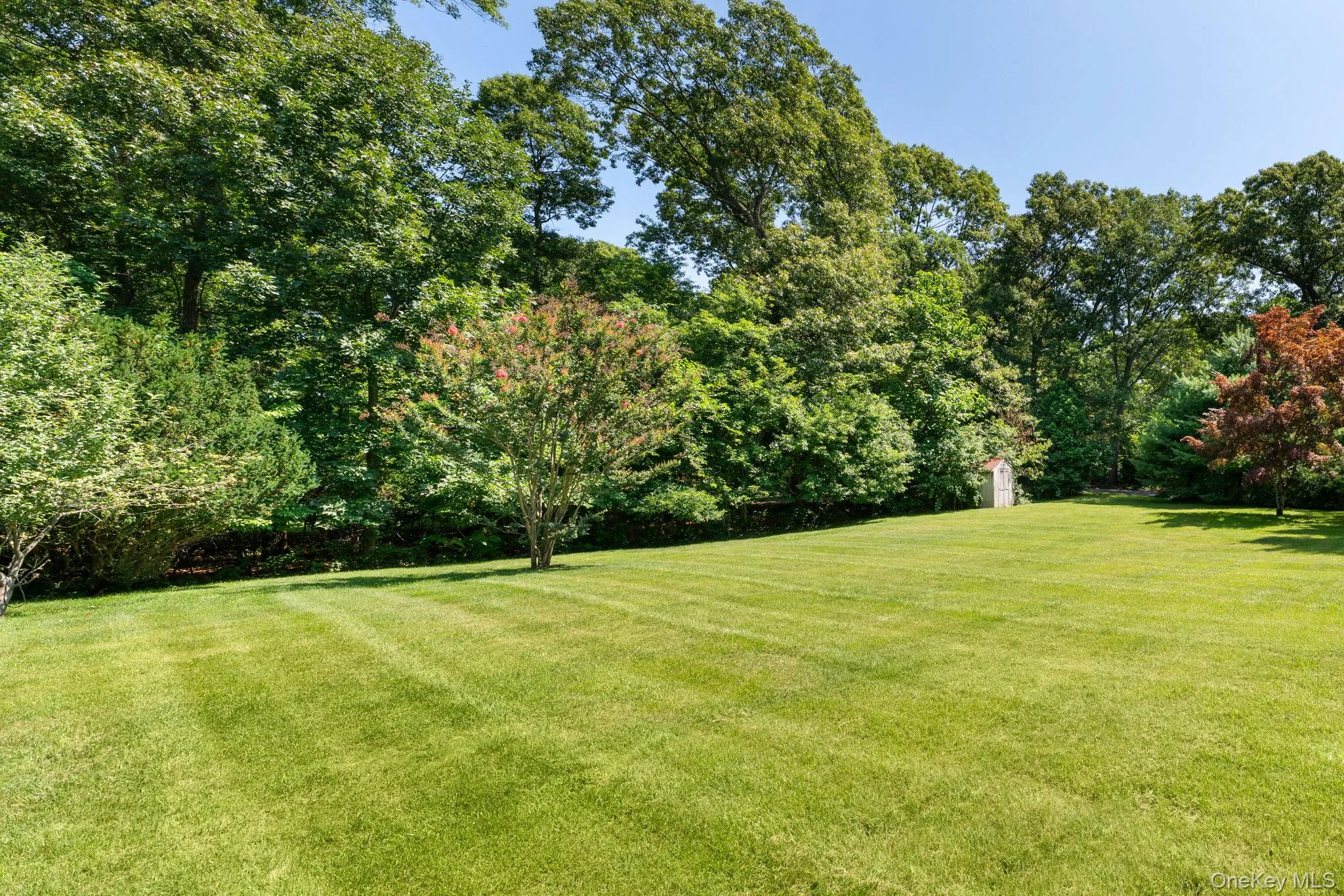 25 Brewster Avenue, Smithtown, NY, 4 Bedrooms Bedrooms, 8 Rooms Rooms,2 BathroomsBathrooms,Residential,For Rent,Brewster,0,1017028 25 Brewster Avenue, Smithtown, NY, 4 Bedrooms Bedrooms, 8 Rooms Rooms,2 BathroomsBathrooms,Residential,For Rent,Brewster,0,1017028