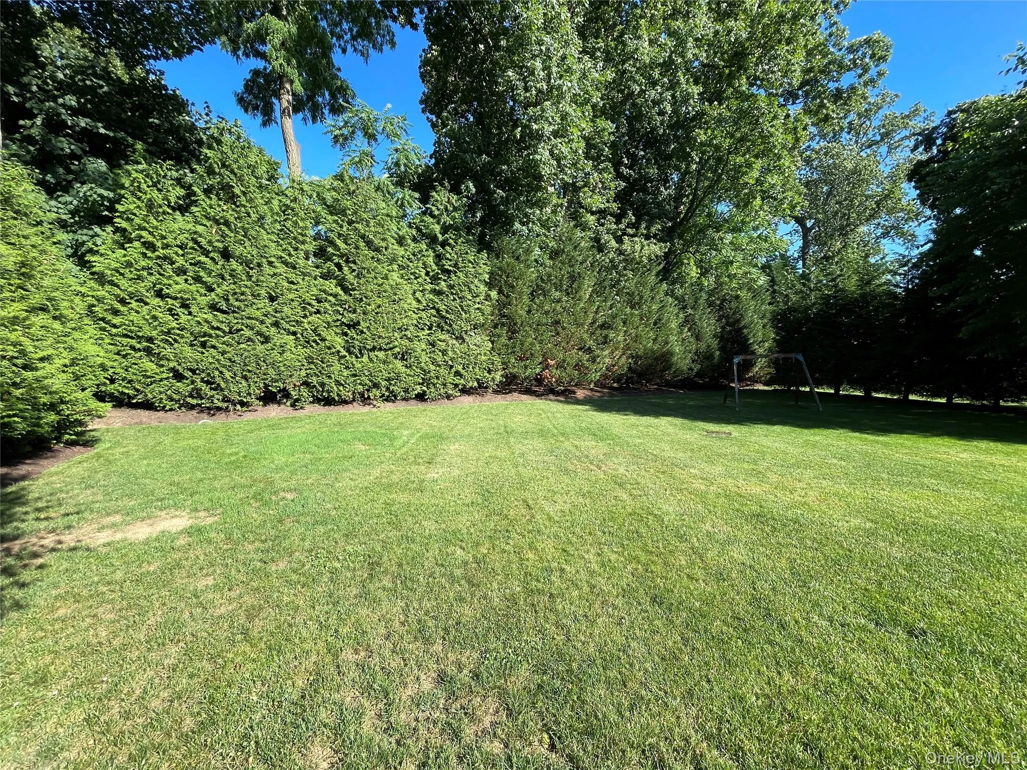 Leveled yard with privacy tree Leveled yard with privacy tree