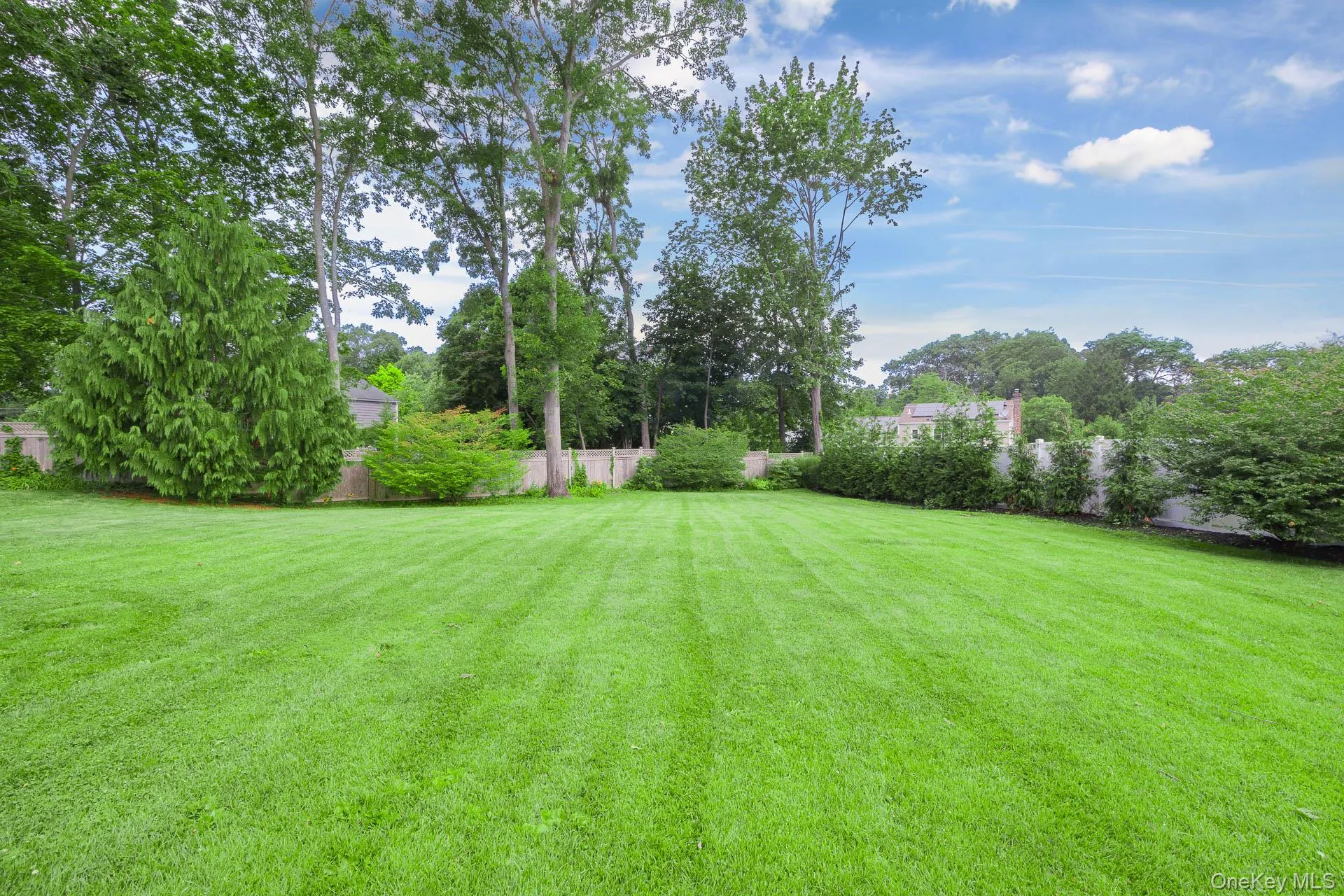 backyard backyard