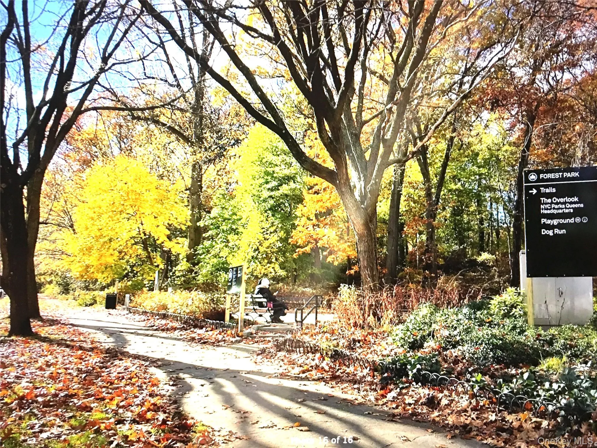 124-01 Hillside Avenue, New York, NY, 3 Bedrooms Bedrooms, 5 Rooms Rooms,1 BathroomBathrooms,Residential Lease,For Rent,Hillside,0,1017059 124-01 Hillside Avenue, New York, NY, 3 Bedrooms Bedrooms, 5 Rooms Rooms,1 BathroomBathrooms,Residential Lease,For Rent,Hillside,0,1017059