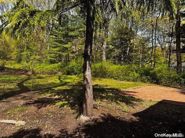 196 Deforest Road, Huntington, NY, 3 Bedrooms Bedrooms, 5 Rooms Rooms,1 BathroomBathrooms,Residential Lease,For Rent,Deforest,0,1017066 196 Deforest Road, Huntington, NY, 3 Bedrooms Bedrooms, 5 Rooms Rooms,1 BathroomBathrooms,Residential Lease,For Rent,Deforest,0,1017066
