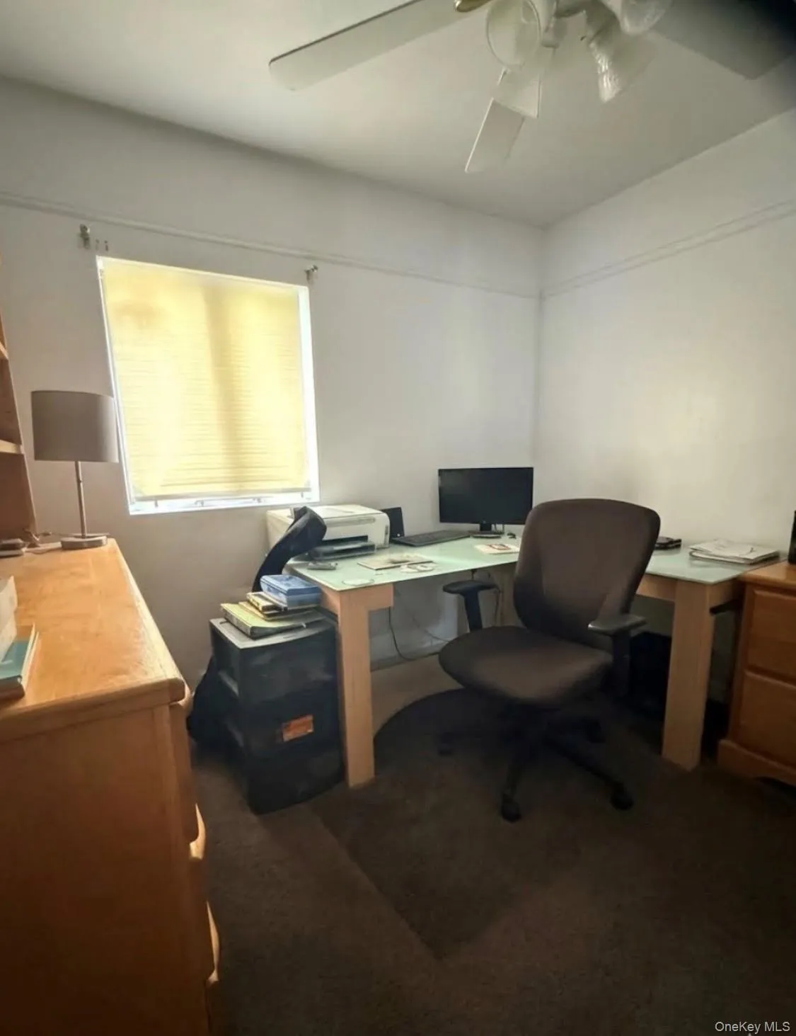 94-19 Pitkin Avenue, New York, NY, 3 Bedrooms Bedrooms, 6 Rooms Rooms,1 BathroomBathrooms,Residential,For Rent,Pitkin,0,1017072 94-19 Pitkin Avenue, New York, NY, 3 Bedrooms Bedrooms, 6 Rooms Rooms,1 BathroomBathrooms,Residential,For Rent,Pitkin,0,1017072