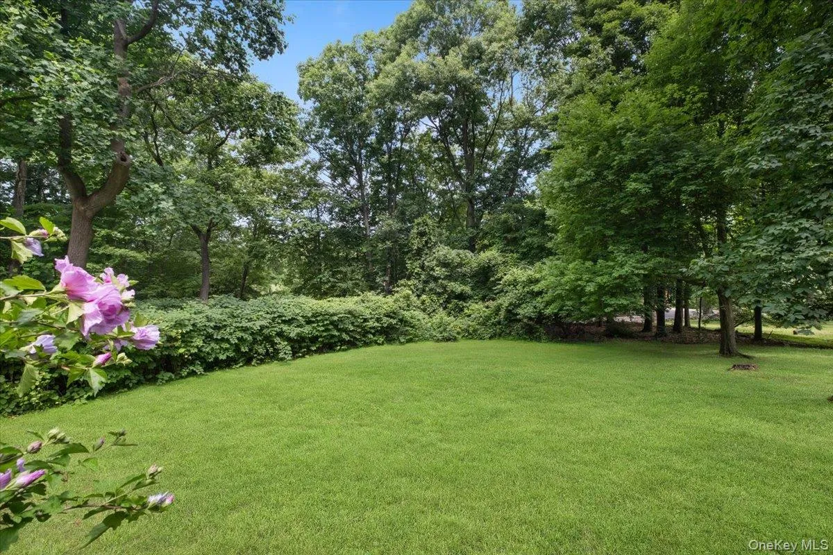 163 Mount Airy Road, Cortlandt, NY, 4 Bedrooms Bedrooms, 8 Rooms Rooms,2 BathroomsBathrooms,Residential,For Rent,Mount Airy,0,1017100 163 Mount Airy Road, Cortlandt, NY, 4 Bedrooms Bedrooms, 8 Rooms Rooms,2 BathroomsBathrooms,Residential,For Rent,Mount Airy,0,1017100
