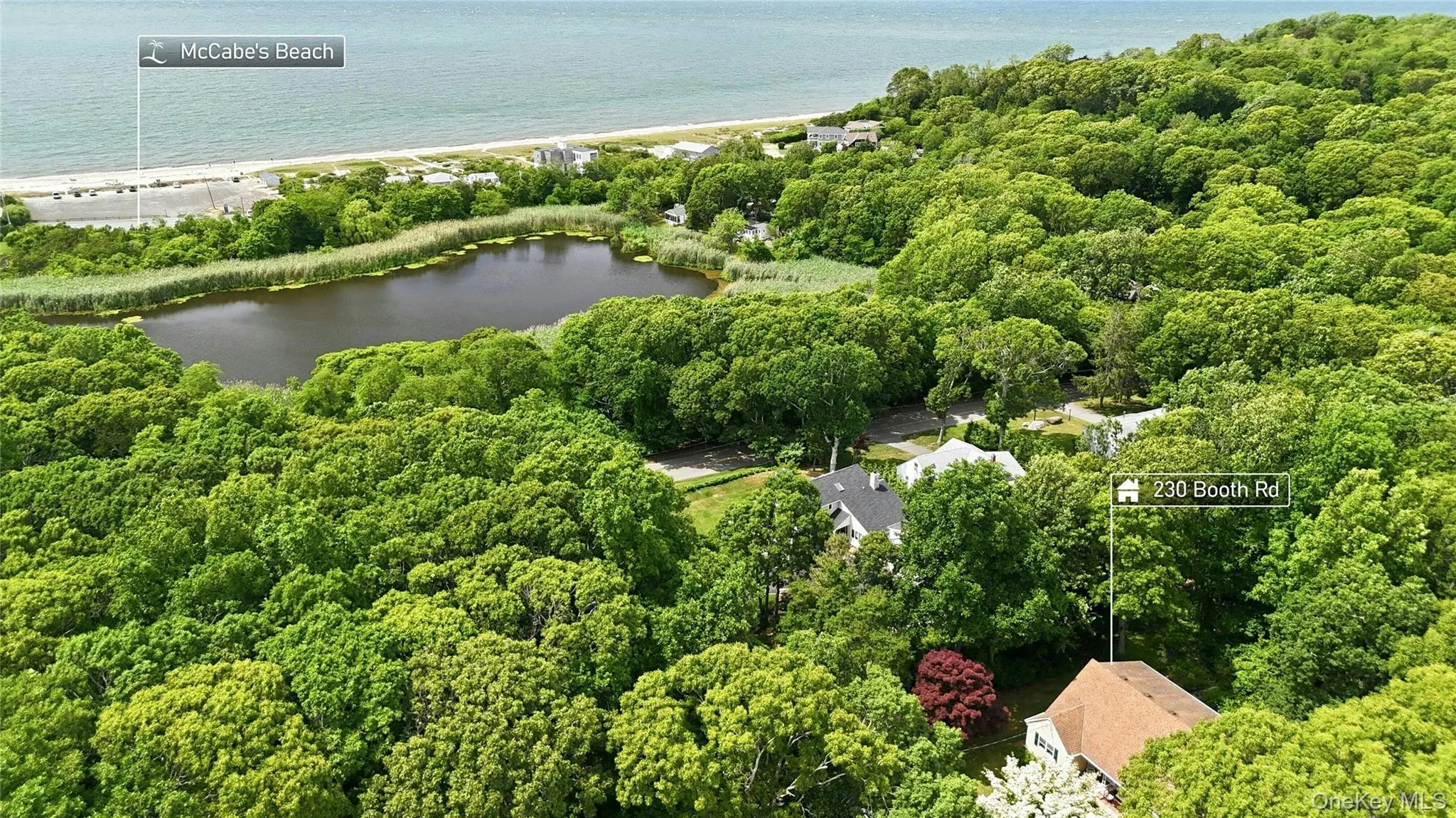 230 Booth Road, Southold, NY, 5 Bedrooms Bedrooms, 8 Rooms Rooms,2 BathroomsBathrooms,Residential,For Rent,Booth,0,1017107 230 Booth Road, Southold, NY, 5 Bedrooms Bedrooms, 8 Rooms Rooms,2 BathroomsBathrooms,Residential,For Rent,Booth,0,1017107