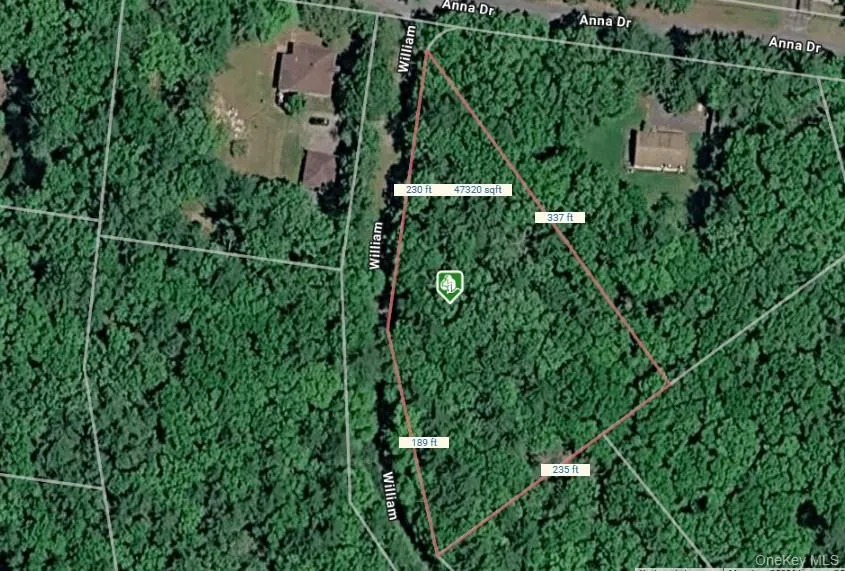 Lot with William St Dimensions Lot with William St Dimensions