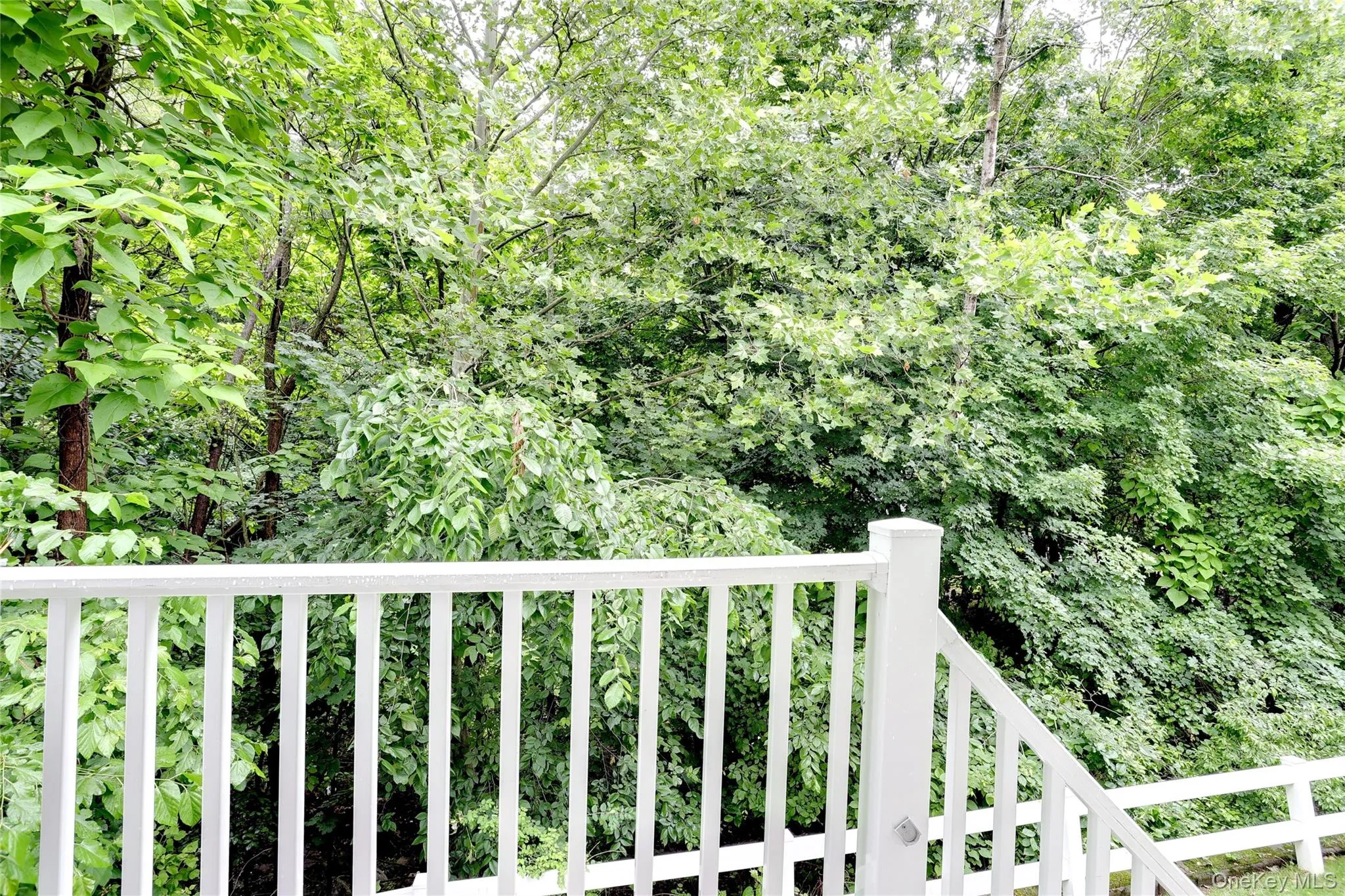 141 Meadow Lane, Clarkstown, NY, 2 Bedrooms Bedrooms, 6 Rooms Rooms,2 BathroomsBathrooms,Residential,For Rent,Meadow,0,KEY1017145 141 Meadow Lane, Clarkstown, NY, 2 Bedrooms Bedrooms, 6 Rooms Rooms,2 BathroomsBathrooms,Residential,For Rent,Meadow,0,KEY1017145