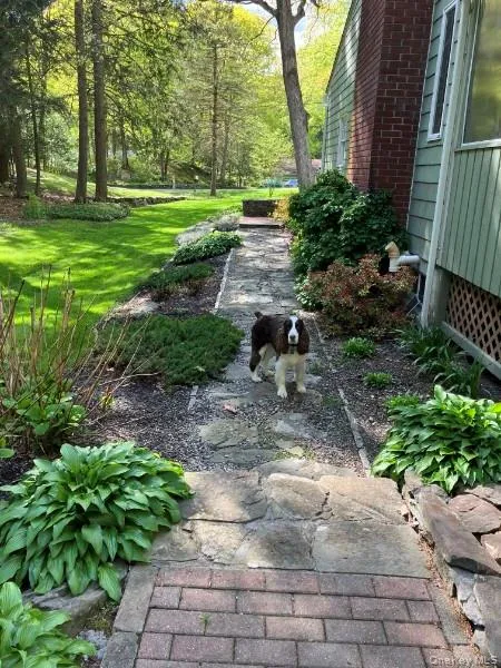 30 Hudson Drive, Hyde Park, NY, 4 Bedrooms Bedrooms, 12 Rooms Rooms,2 BathroomsBathrooms,Residential,For Rent,Hudson,0,1017169 30 Hudson Drive, Hyde Park, NY, 4 Bedrooms Bedrooms, 12 Rooms Rooms,2 BathroomsBathrooms,Residential,For Rent,Hudson,0,1017169