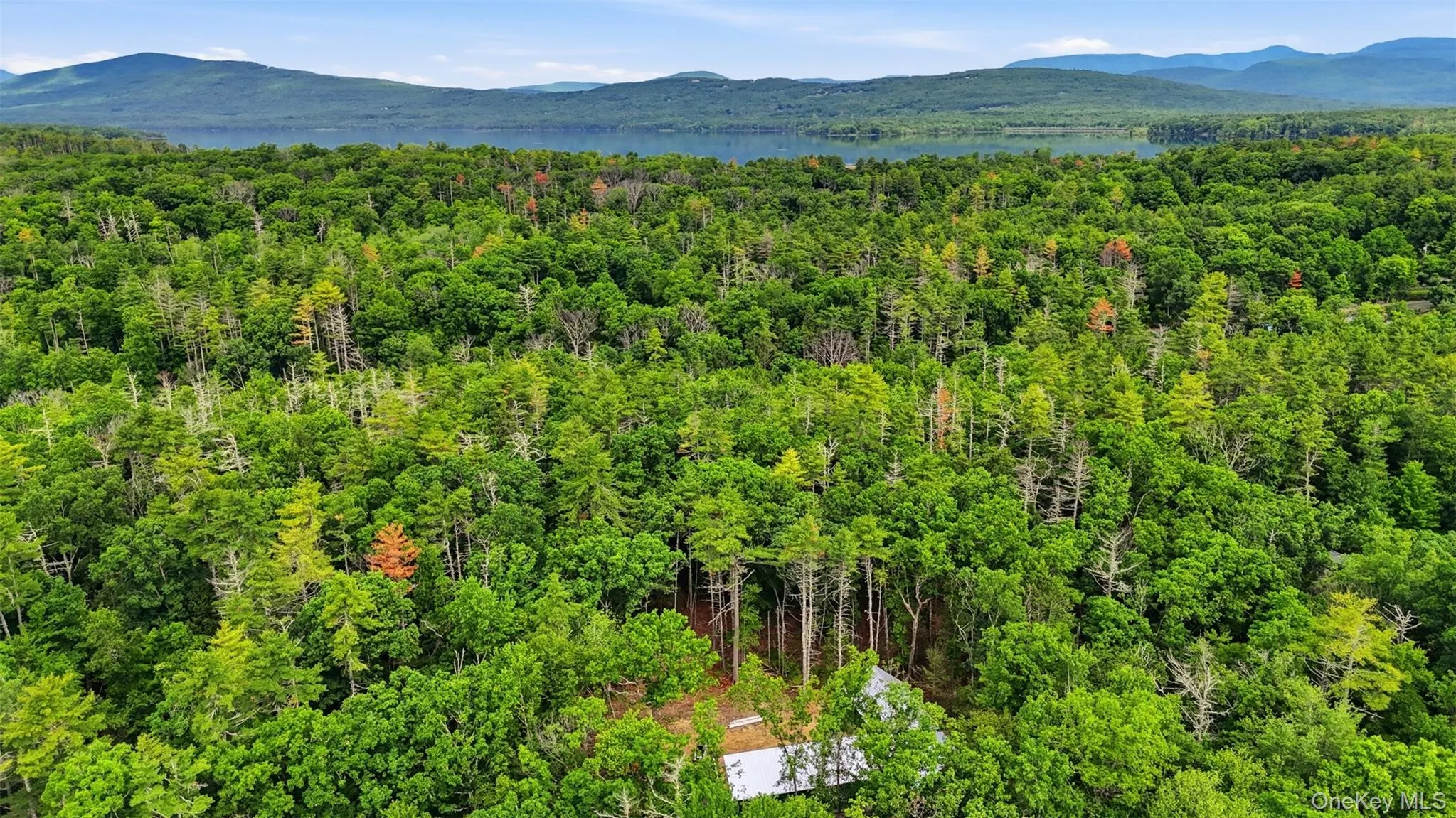 60 Morgan Hill Road, Hurley, NY, 3 Bedrooms Bedrooms, 10 Rooms Rooms,3 BathroomsBathrooms,Residential,For Rent,Morgan Hill,0,1017176 60 Morgan Hill Road, Hurley, NY, 3 Bedrooms Bedrooms, 10 Rooms Rooms,3 BathroomsBathrooms,Residential,For Rent,Morgan Hill,0,1017176
