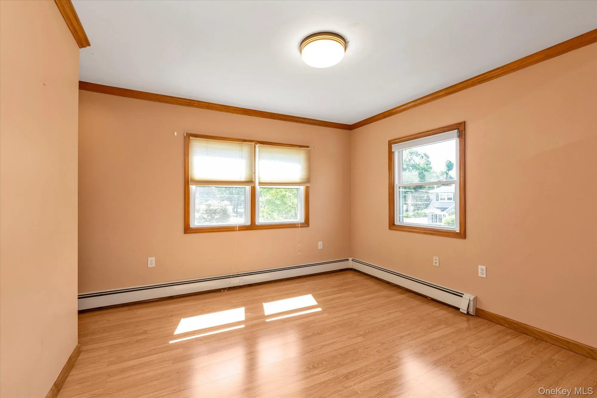 Room featuring wood-finish flooring, two windows with window treatments, a flush mount ceiling light fixture, and wood trim molding Room featuring wood-finish flooring, two windows with window treatments, a flush mount ceiling light fixture, and wood trim molding