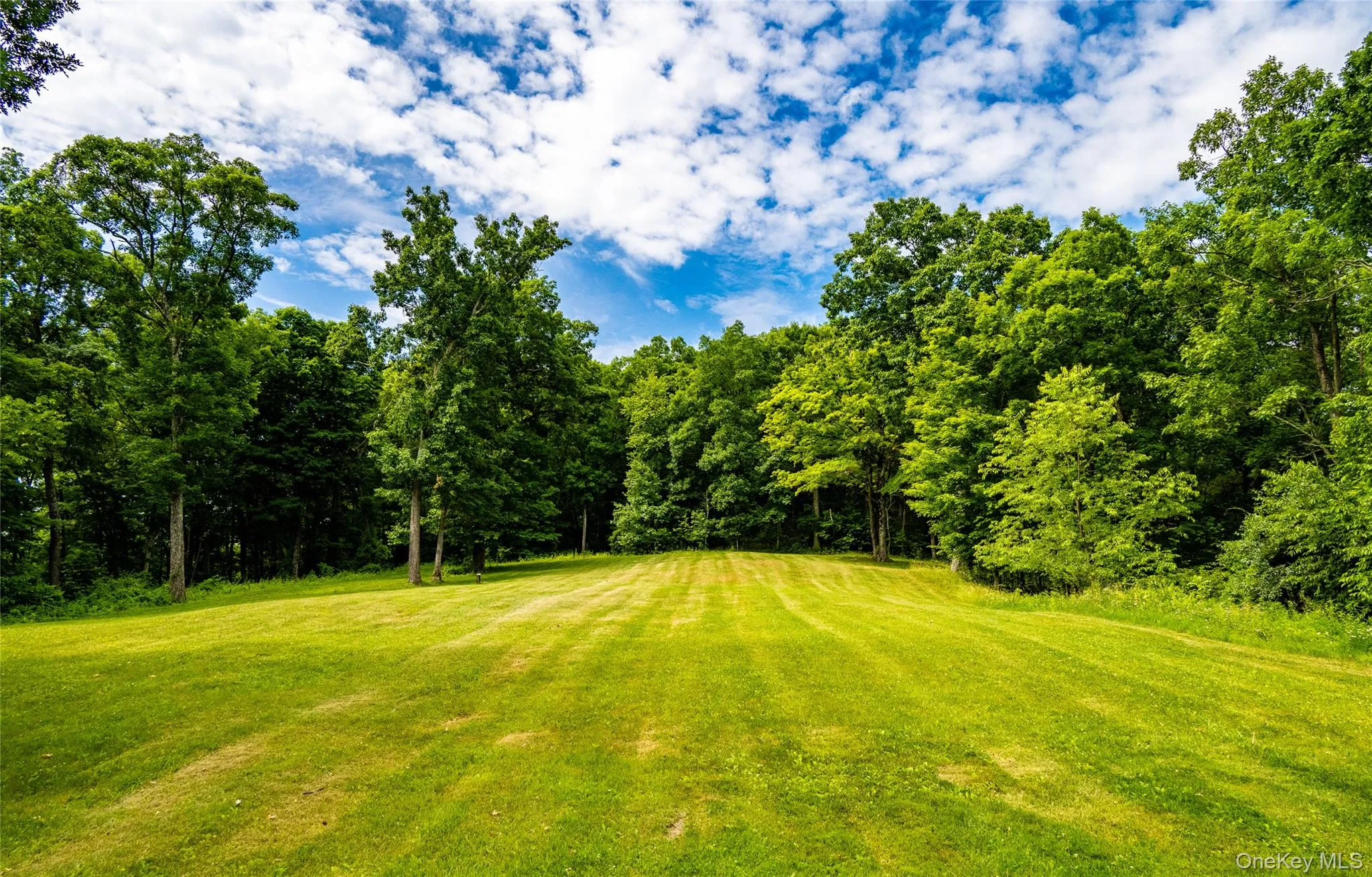 BOHA for a 3-4 bedroom home on 9.88 acres BOHA for a 3-4 bedroom home on 9.88 acres