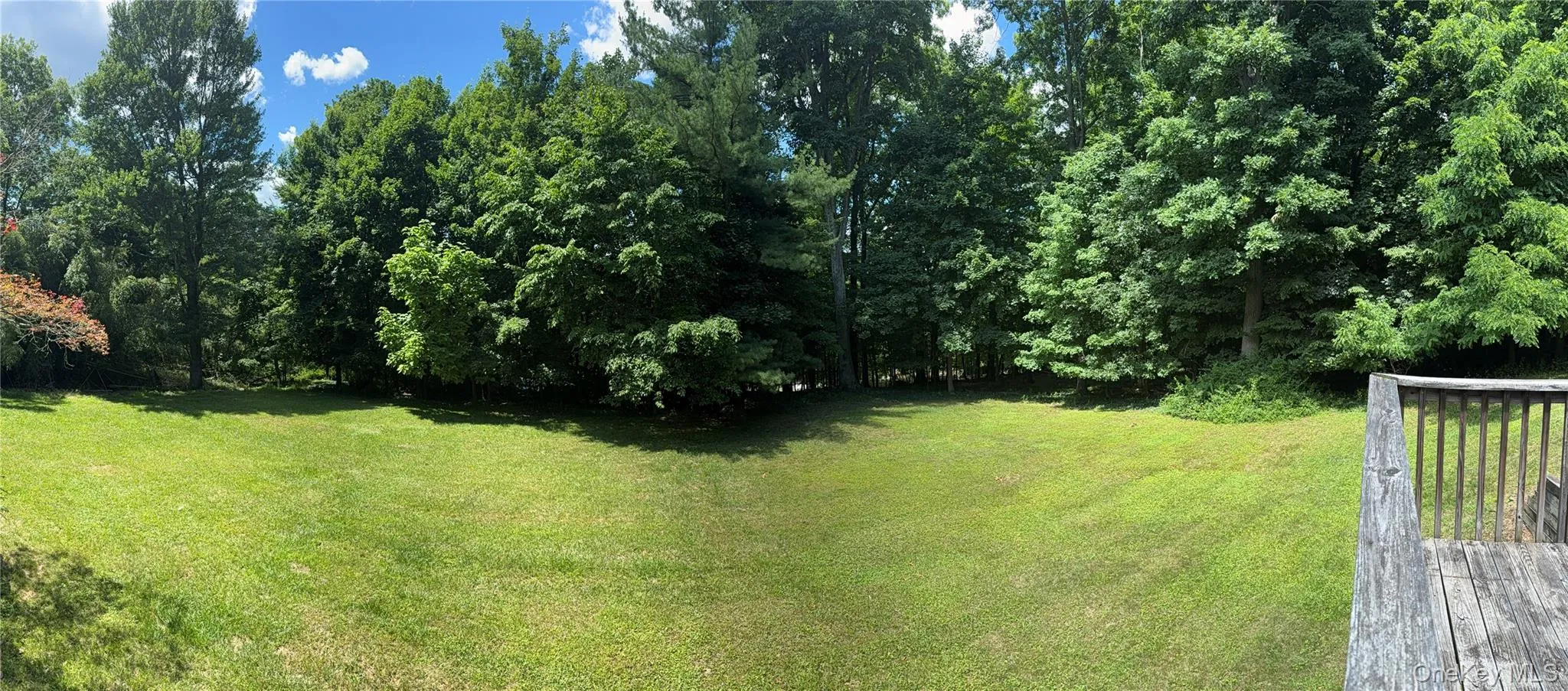 Panoramic view of the backyard Panoramic view of the backyard