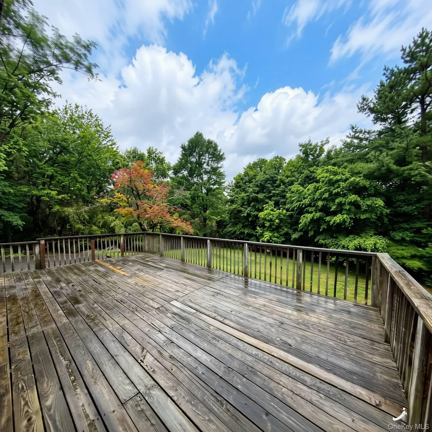 Oversized Deck looking out over the spacious backyard Oversized Deck looking out over the spacious backyard