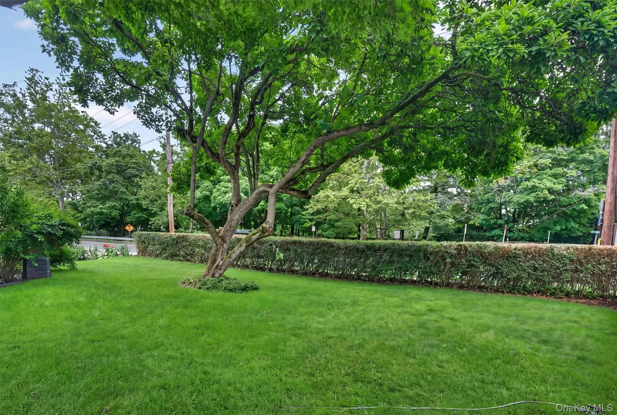 110 Clinton Avenue, Orangetown, NY, 3 Bedrooms Bedrooms, 11 Rooms Rooms,3 BathroomsBathrooms,Residential,For Rent,Clinton,0,KEY1017277 110 Clinton Avenue, Orangetown, NY, 3 Bedrooms Bedrooms, 11 Rooms Rooms,3 BathroomsBathrooms,Residential,For Rent,Clinton,0,KEY1017277