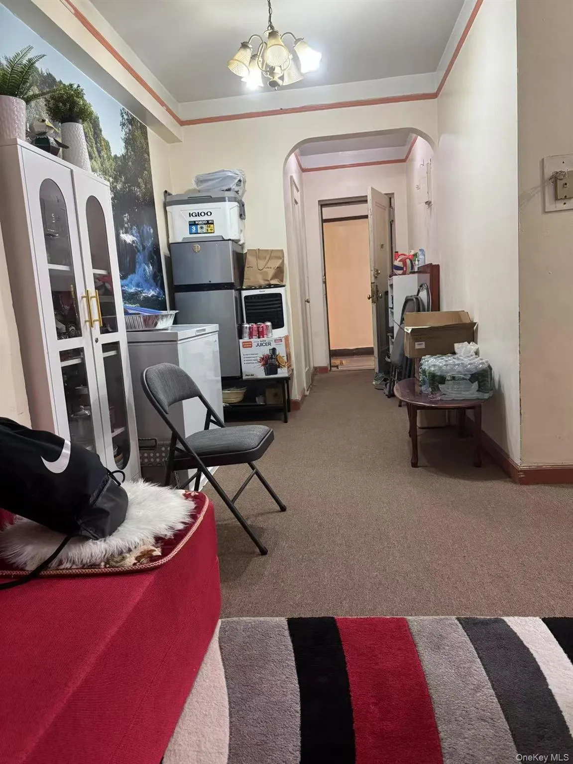 83-06 Vietor Avenue, New York, NY, 1 Bedroom Bedrooms, 3 Rooms Rooms,1 BathroomBathrooms,Residential,For Rent,Vietor,0,1017341 83-06 Vietor Avenue, New York, NY, 1 Bedroom Bedrooms, 3 Rooms Rooms,1 BathroomBathrooms,Residential,For Rent,Vietor,0,1017341