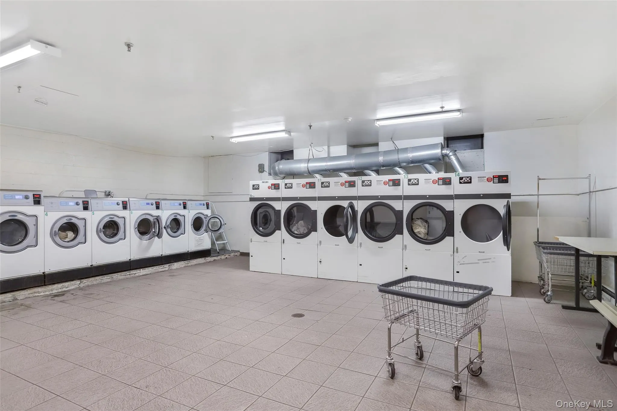 167 Sands Street, New York, NY, 1 Bedroom Bedrooms, 3 Rooms Rooms,1 BathroomBathrooms,Residential,For Rent,Sands,0,1017353 167 Sands Street, New York, NY, 1 Bedroom Bedrooms, 3 Rooms Rooms,1 BathroomBathrooms,Residential,For Rent,Sands,0,1017353