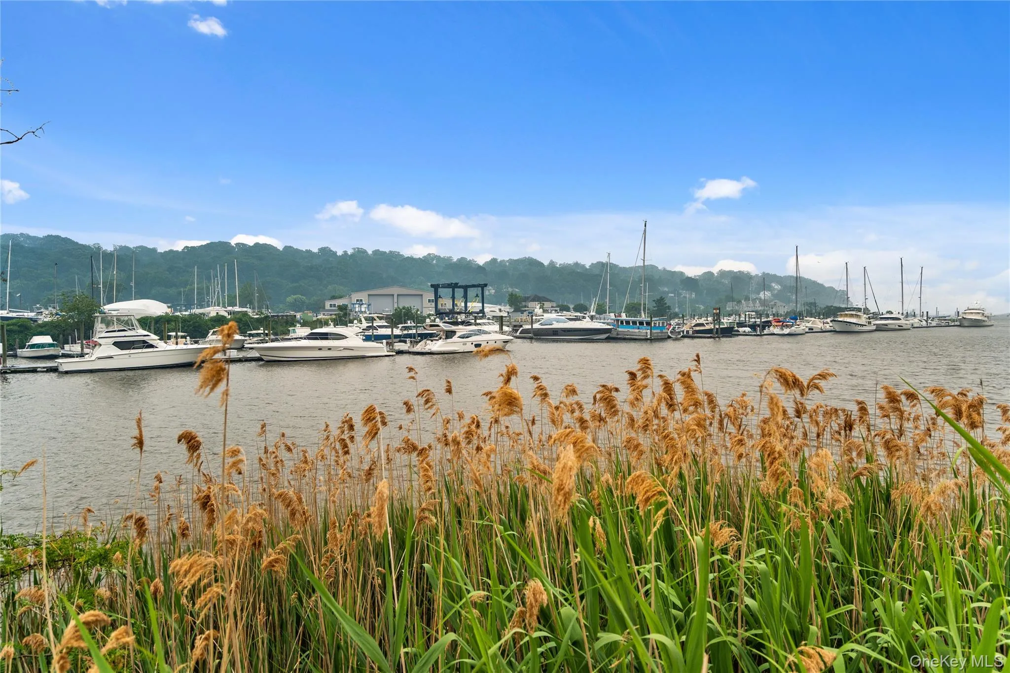 100 Garvies Point Road, Oyster Bay, NY, 3 Bedrooms Bedrooms, 6 Rooms Rooms,3 BathroomsBathrooms,Residential,For Rent,Garvies Point,0,KEY1017405 100 Garvies Point Road, Oyster Bay, NY, 3 Bedrooms Bedrooms, 6 Rooms Rooms,3 BathroomsBathrooms,Residential,For Rent,Garvies Point,0,KEY1017405