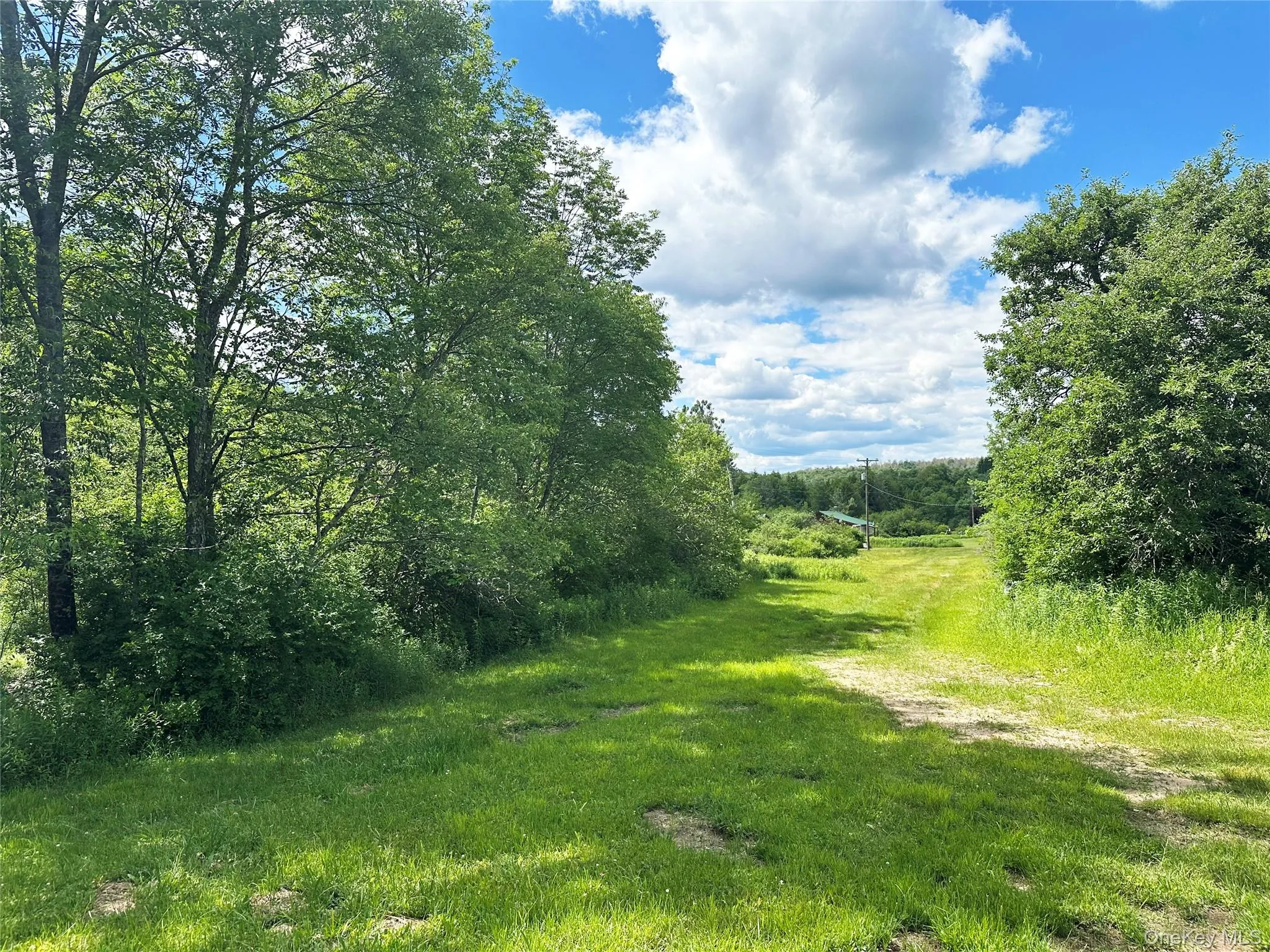 Scenic grassy pathway running along the brook and tree line, highlighting the property’s privacy, open space, and natural beauty. Scenic grassy pathway running along the brook and tree line, highlighting the property’s privacy, open space, and natural beauty.