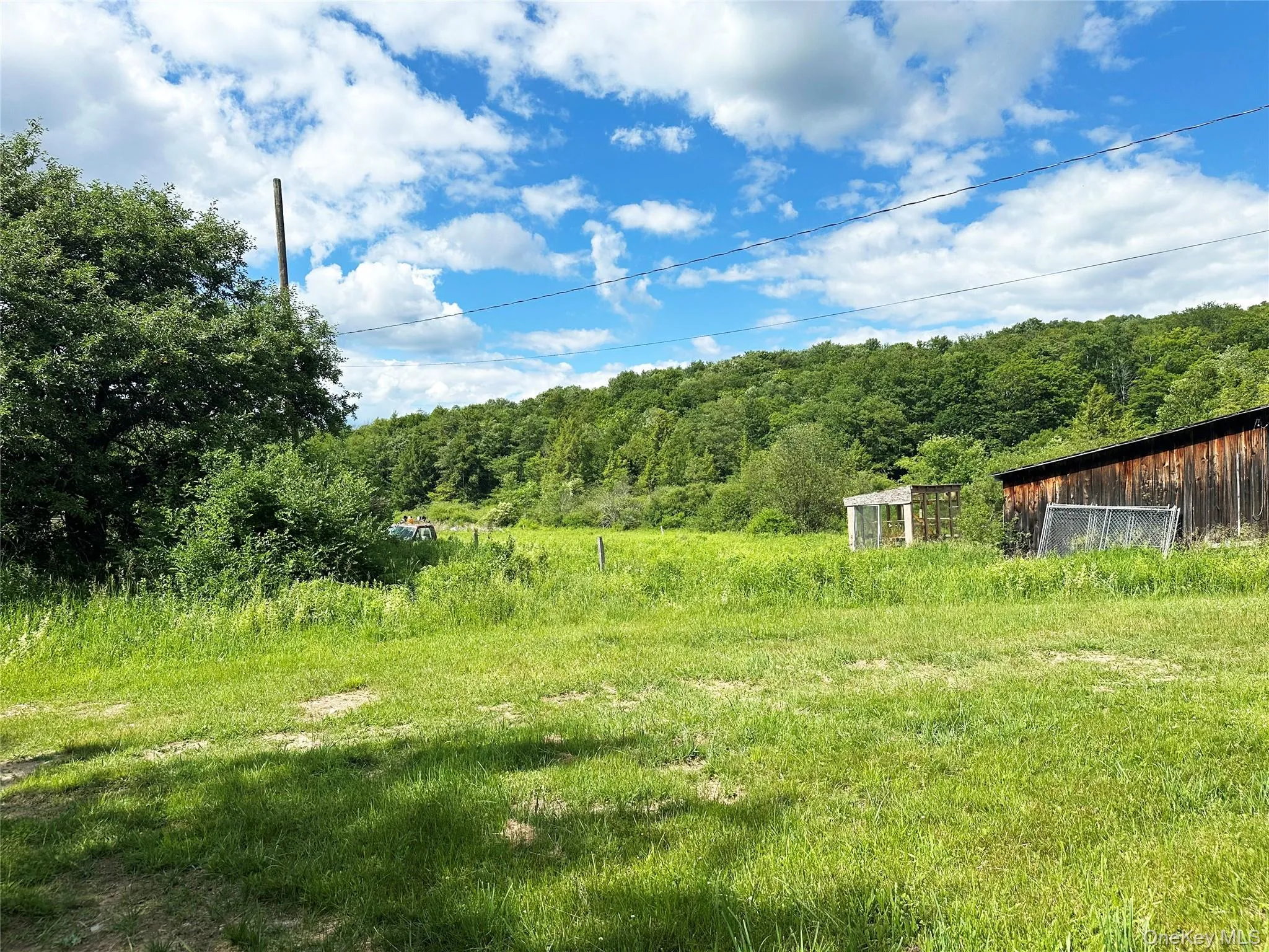 Open grassy area bordered by mature trees and rolling hills, offering privacy and a peaceful country setting. Open grassy area bordered by mature trees and rolling hills, offering privacy and a peaceful country setting.