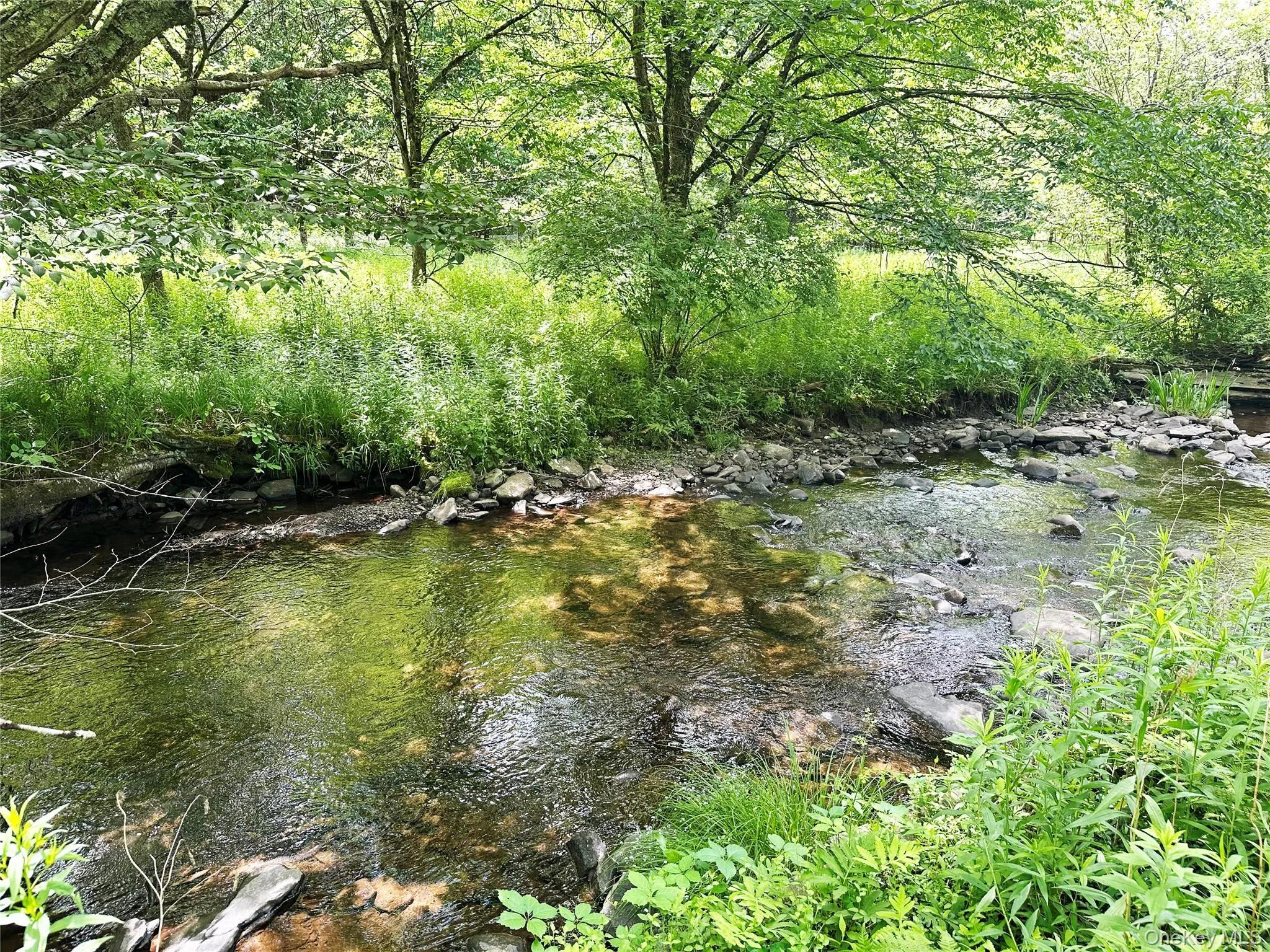 Crystal-clear Trout Brook flowing beneath mature trees and natural stone banks, creating a private streamside retreat. Crystal-clear Trout Brook flowing beneath mature trees and natural stone banks, creating a private streamside retreat.