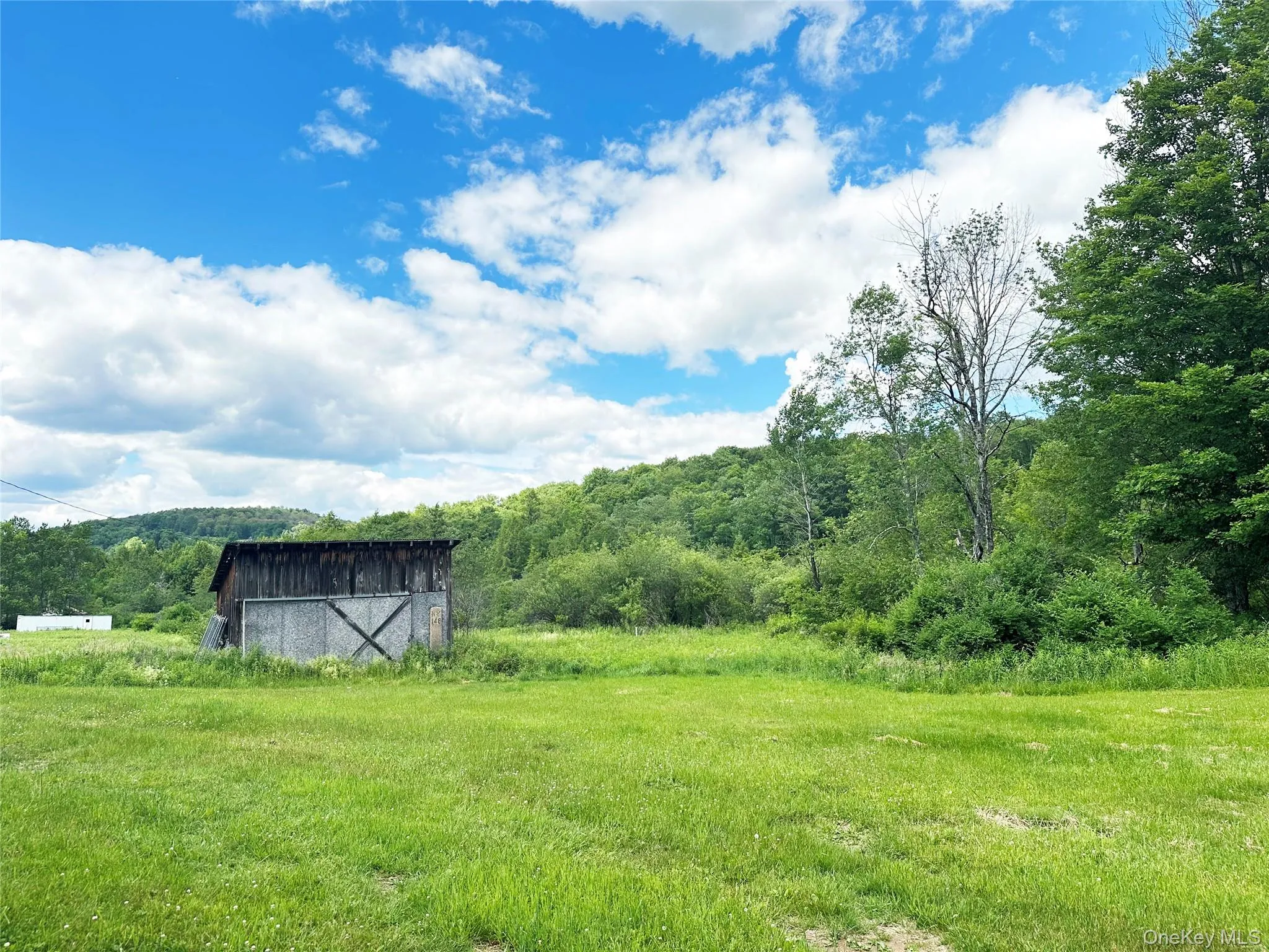 Open meadow and scenic Catskills mountain backdrop with rustic outbuilding and picturesque natural surroundings. Open meadow and scenic Catskills mountain backdrop with rustic outbuilding and picturesque natural surroundings.