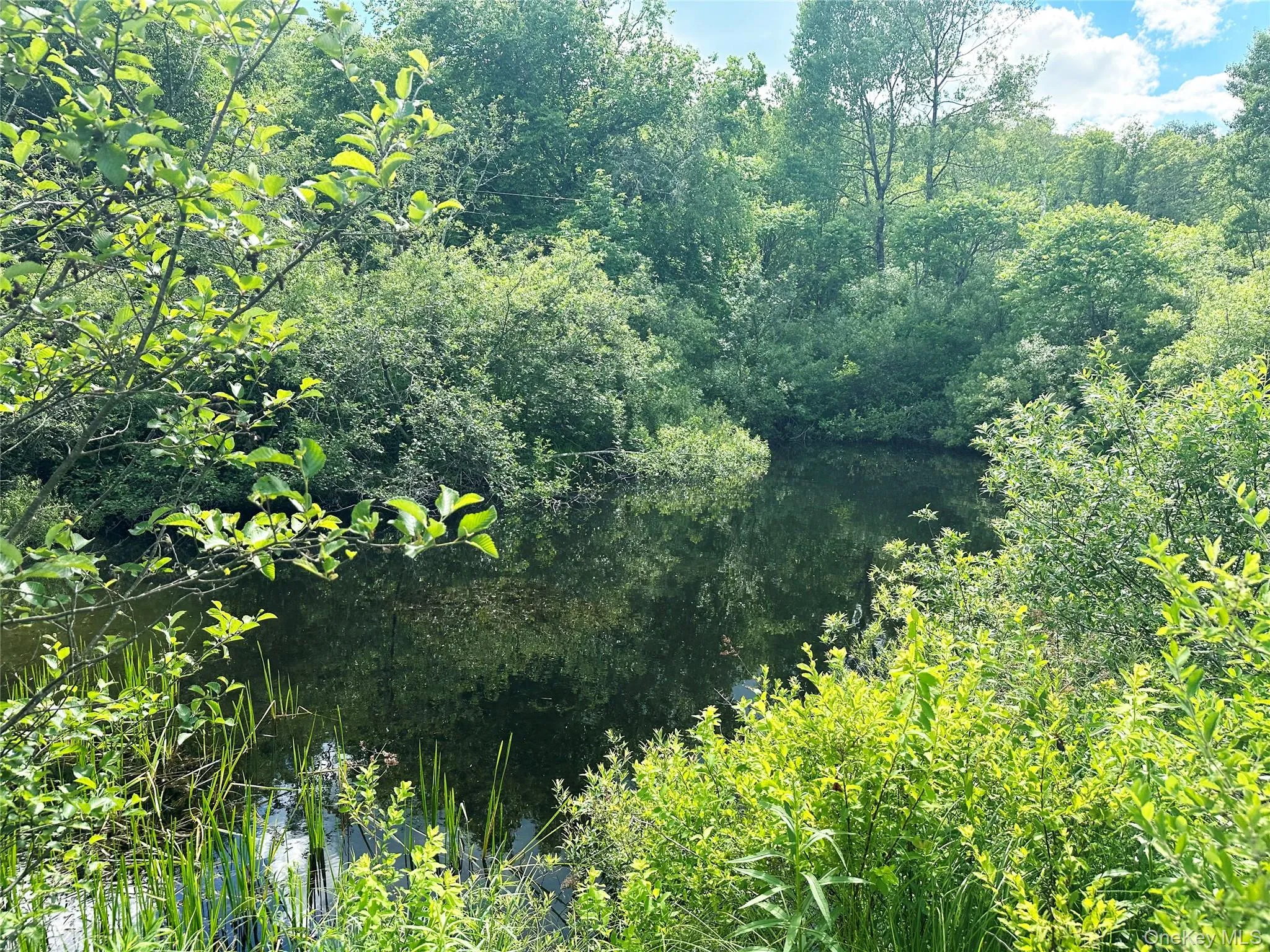 Private pond surrounded by natural woodland, creating a tranquil outdoor retreat and scenic focal point for the property. Private pond surrounded by natural woodland, creating a tranquil outdoor retreat and scenic focal point for the property.