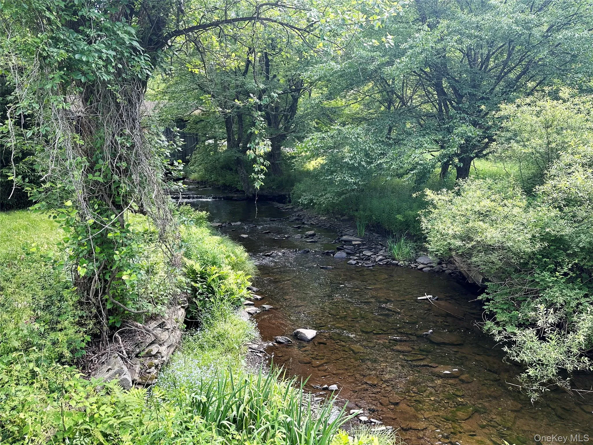 Private stretch of Trout Brook with crystal-clear water, natural stone banks, and mature trees creating a peaceful Catskills waterfront setting. Private stretch of Trout Brook with crystal-clear water, natural stone banks, and mature trees creating a peaceful Catskills waterfront setting.
