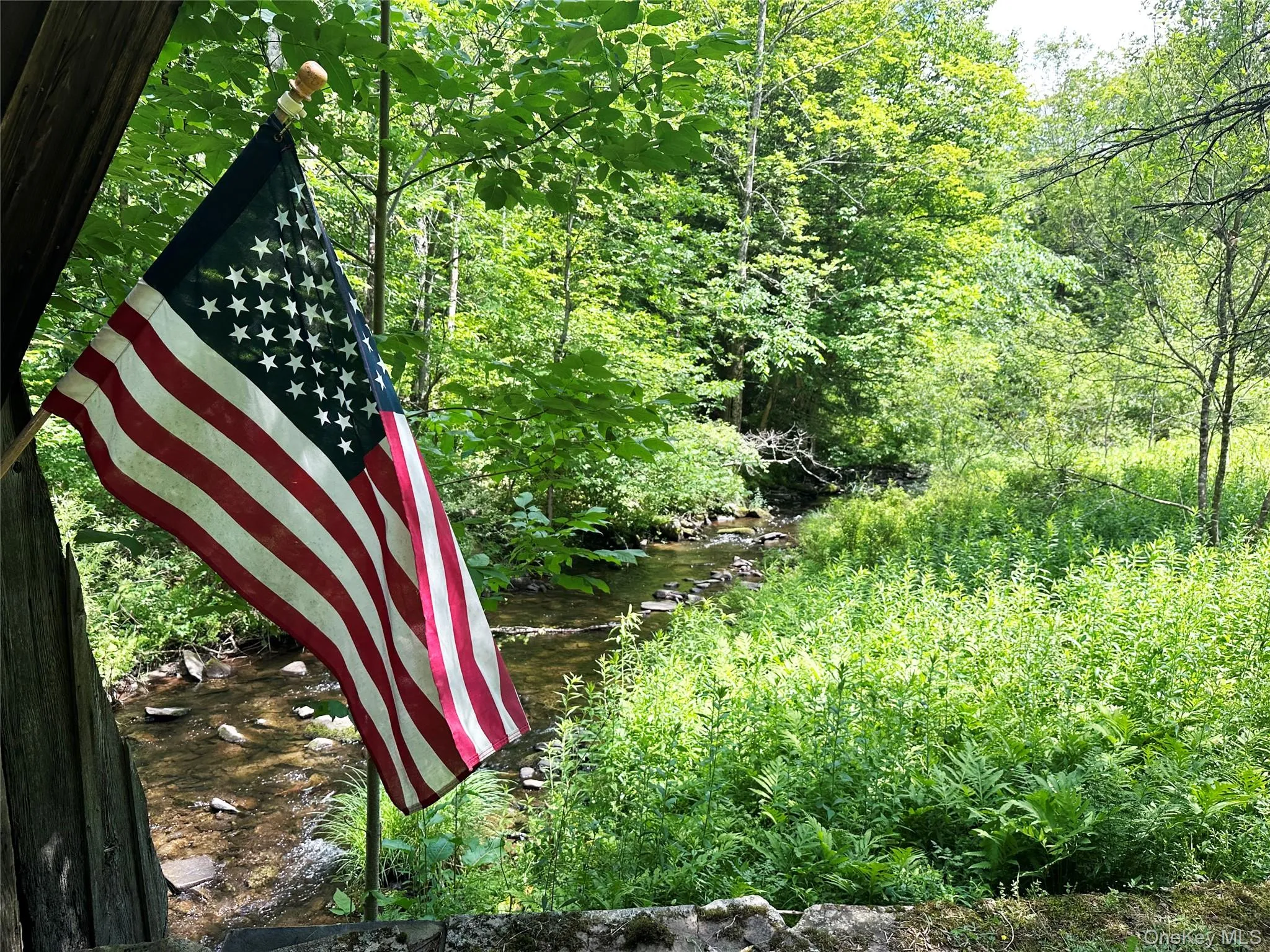 View from the covered bridge overlooking Trout Brook and the surrounding forests that define the Catskills lifestyle. View from the covered bridge overlooking Trout Brook and the surrounding forests that define the Catskills lifestyle.
