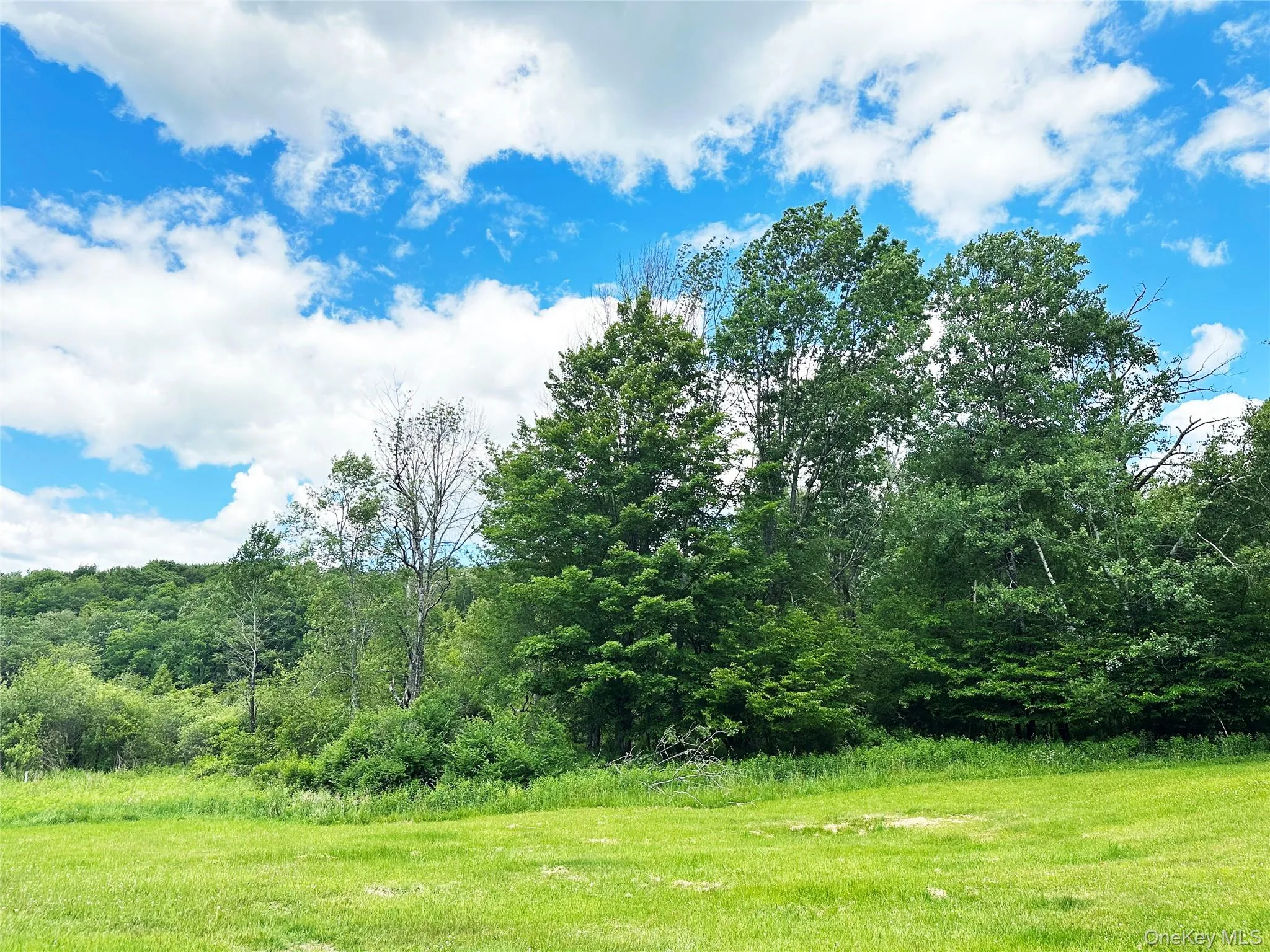 Expansive open fields bordered by forests and mountain views, offering privacy, recreation, and a peaceful upstate setting. Expansive open fields bordered by forests and mountain views, offering privacy, recreation, and a peaceful upstate setting.