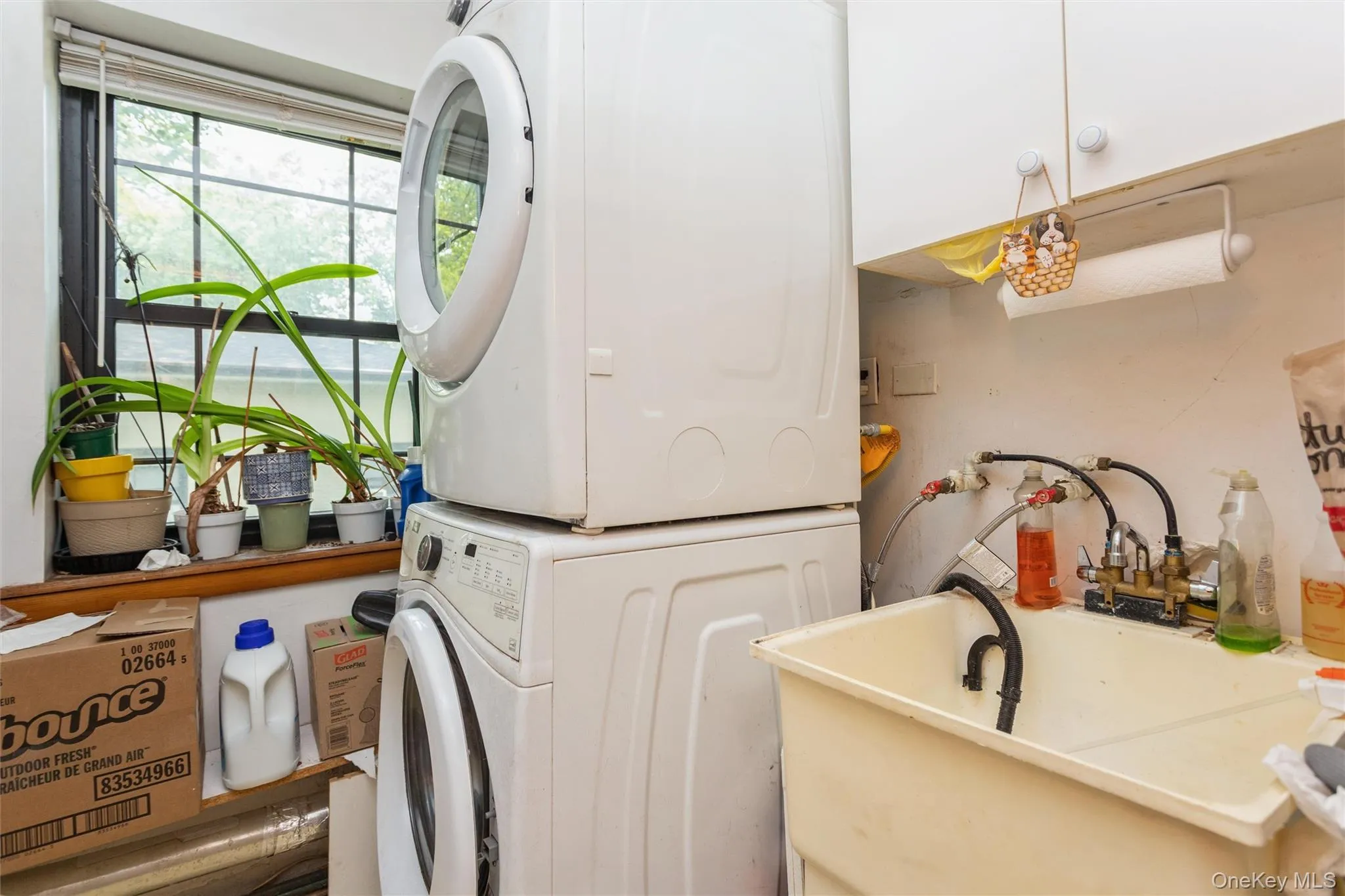 15 Field End Lane, Eastchester, NY, 3 Bedrooms Bedrooms, 6 Rooms Rooms,2 BathroomsBathrooms,Residential,For Rent,Field End,0,1017436 15 Field End Lane, Eastchester, NY, 3 Bedrooms Bedrooms, 6 Rooms Rooms,2 BathroomsBathrooms,Residential,For Rent,Field End,0,1017436