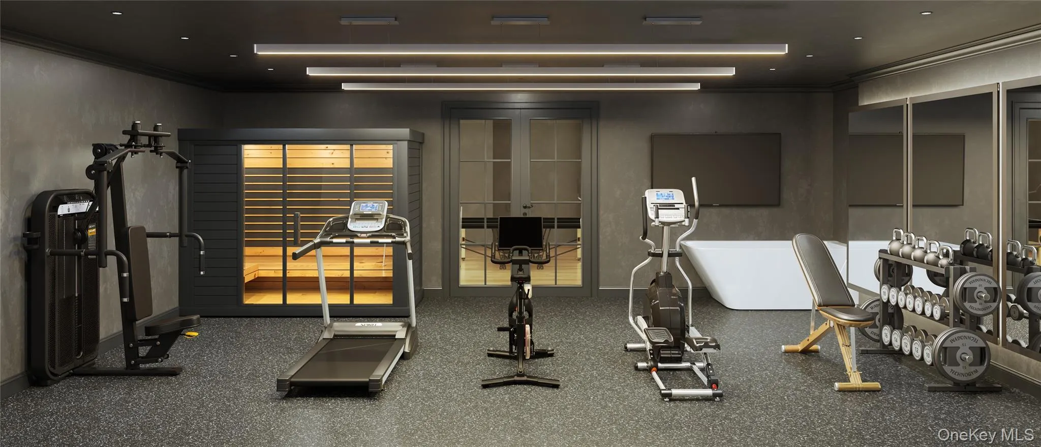 Equinox Inspired Gym w/Cold Plunge, Sauna, Steam Shower, Himalayan Salt Room w/Red Light Therapy Equinox Inspired Gym w/Cold Plunge, Sauna, Steam Shower, Himalayan Salt Room w/Red Light Therapy