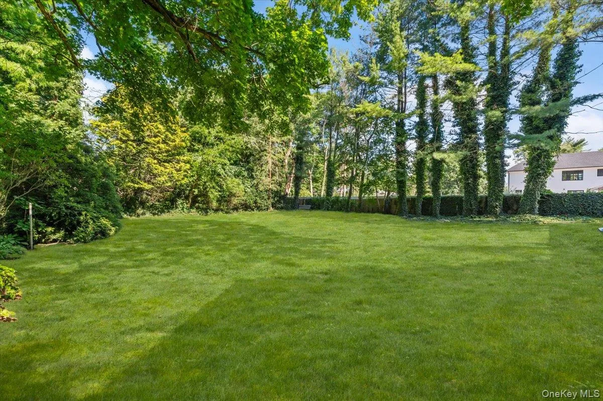 Expansive lawn surrounded by mature trees, creating a natural perimeter Expansive lawn surrounded by mature trees, creating a natural perimeter
