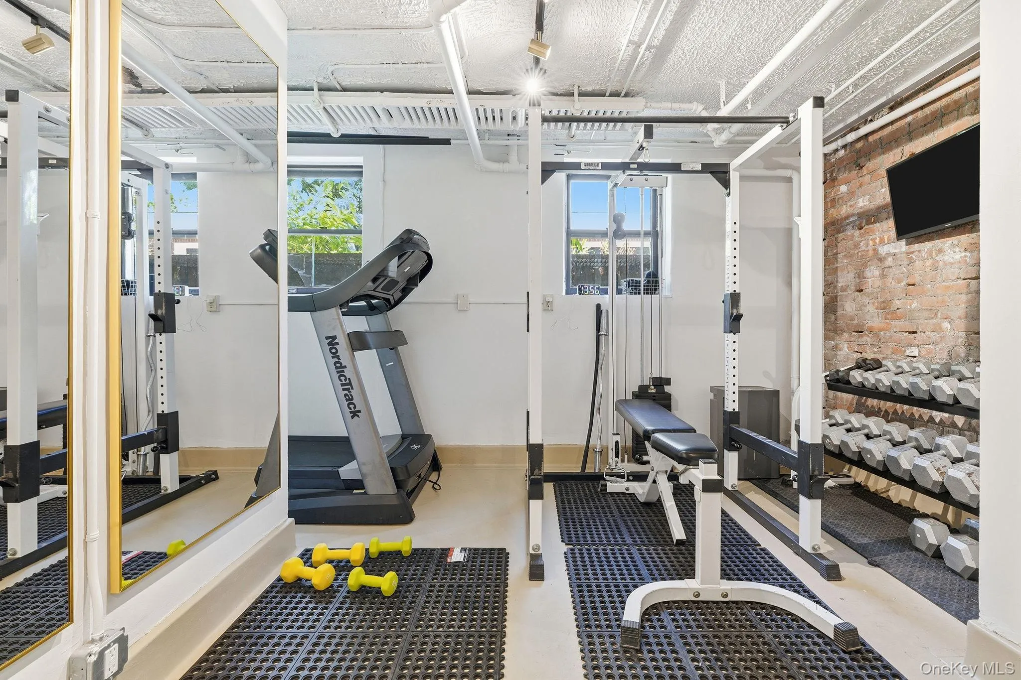 Gym Area Gym Area