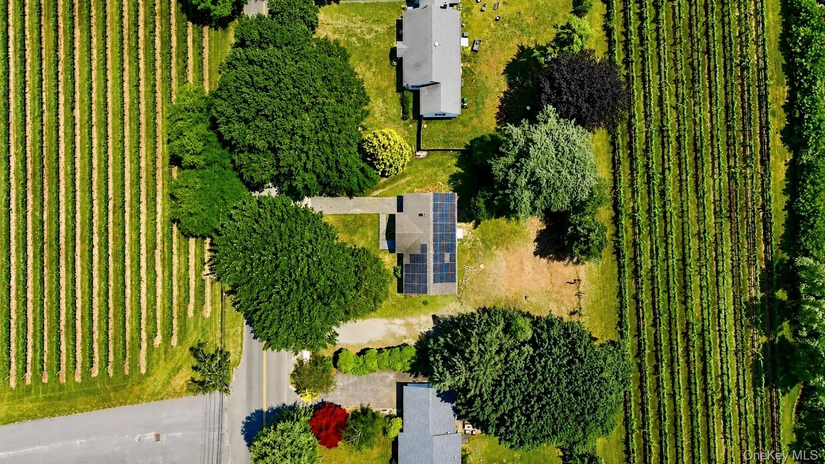 725 Peconic Lane, Southold, NY, 3 Bedrooms Bedrooms, 5 Rooms Rooms,1 BathroomBathrooms,Residential,For Rent,Peconic,0,1017498 725 Peconic Lane, Southold, NY, 3 Bedrooms Bedrooms, 5 Rooms Rooms,1 BathroomBathrooms,Residential,For Rent,Peconic,0,1017498