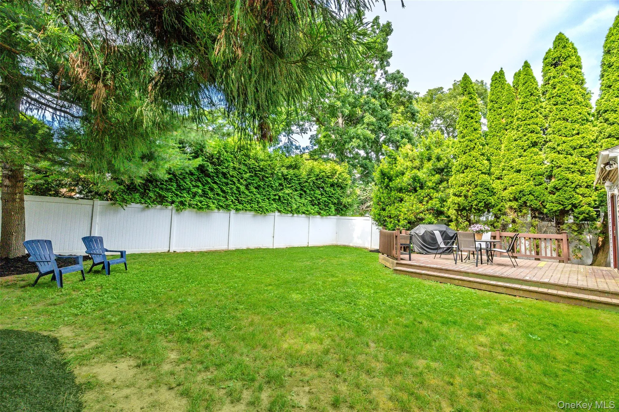 Fenced back yard with loads of privacy Fenced back yard with loads of privacy