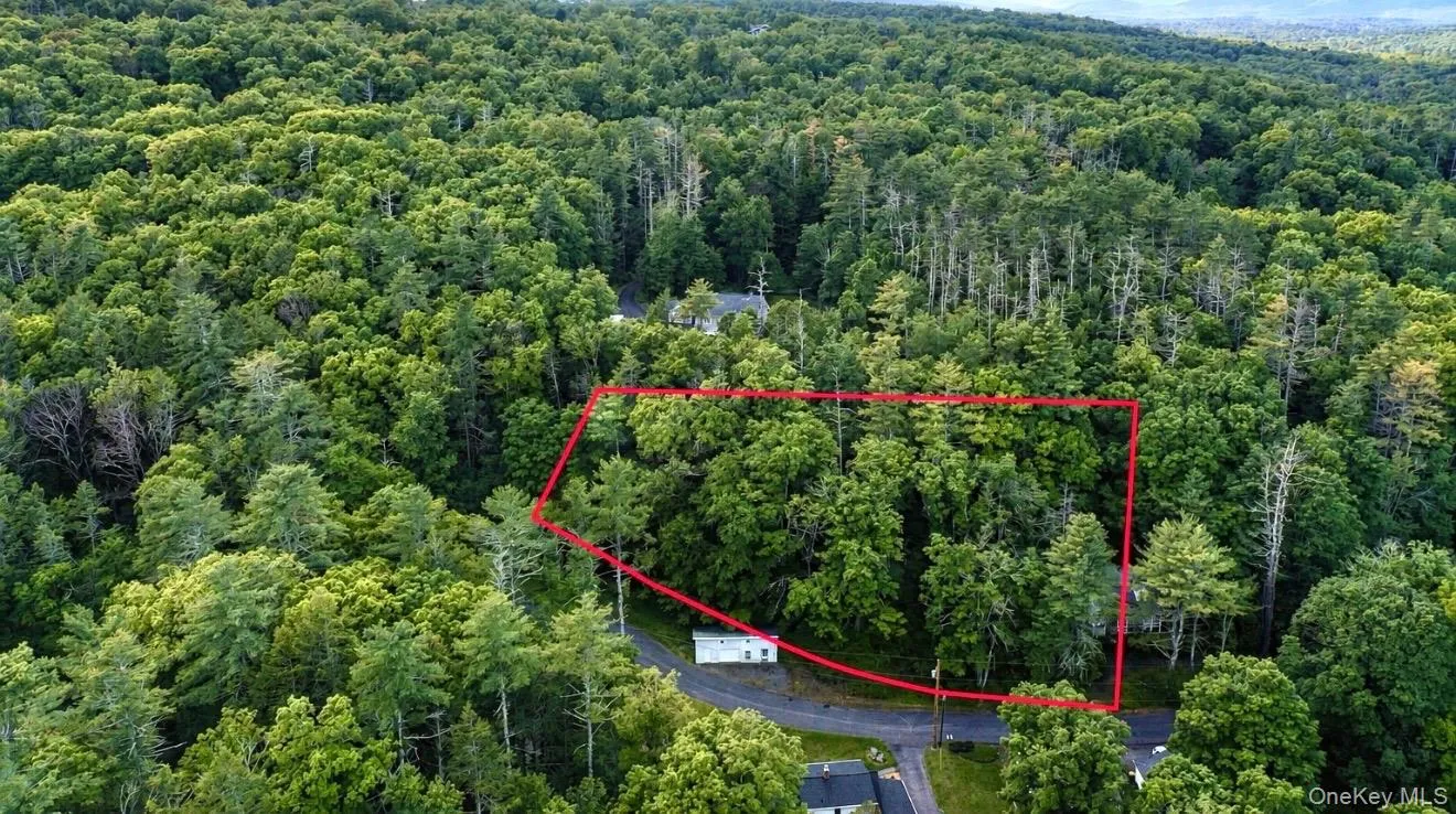 Wooded parcel featuring mature trees and a defined boundary along a paved road Wooded parcel featuring mature trees and a defined boundary along a paved road